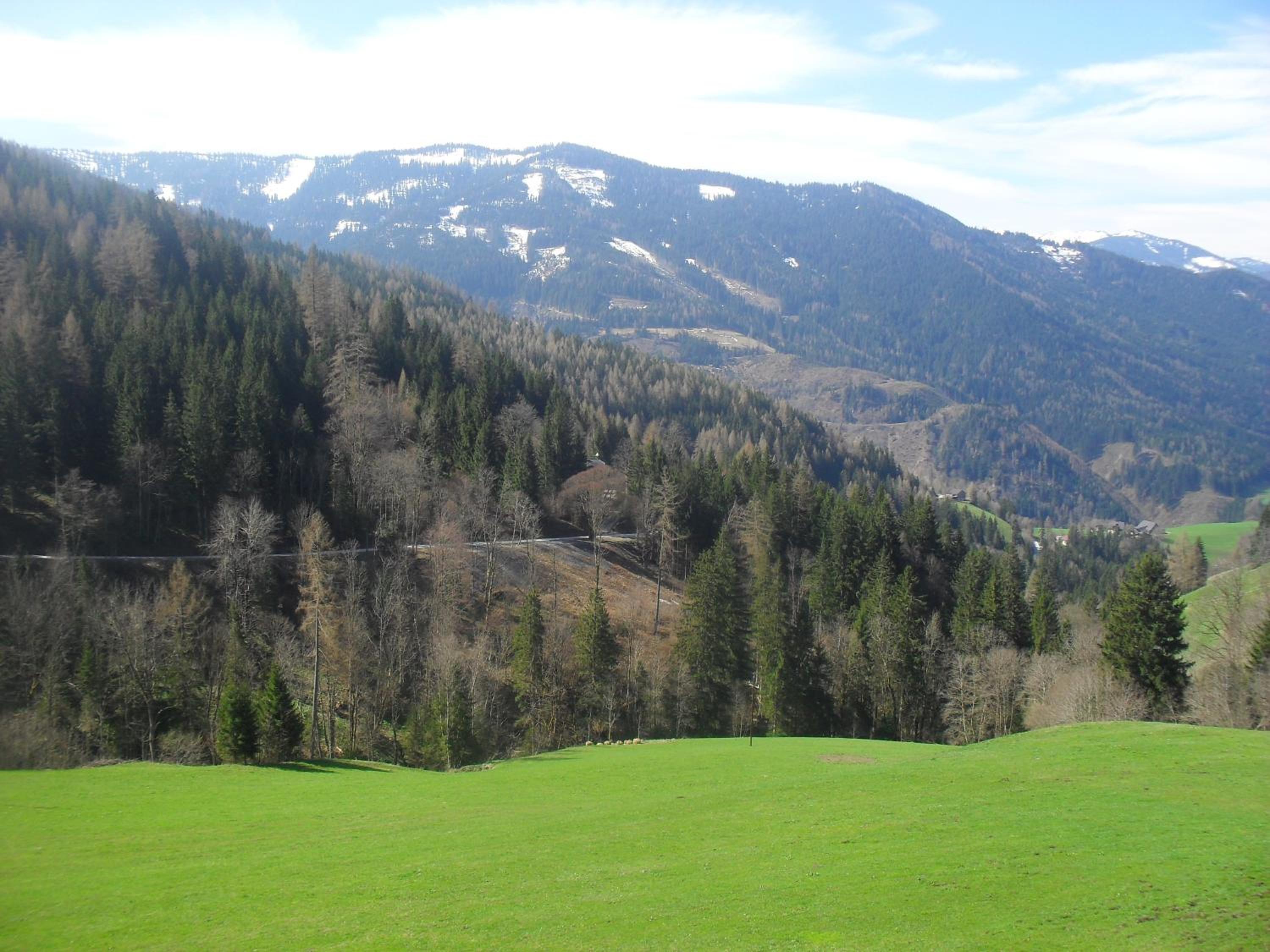 Bio-Bergbauernhof Möslhof