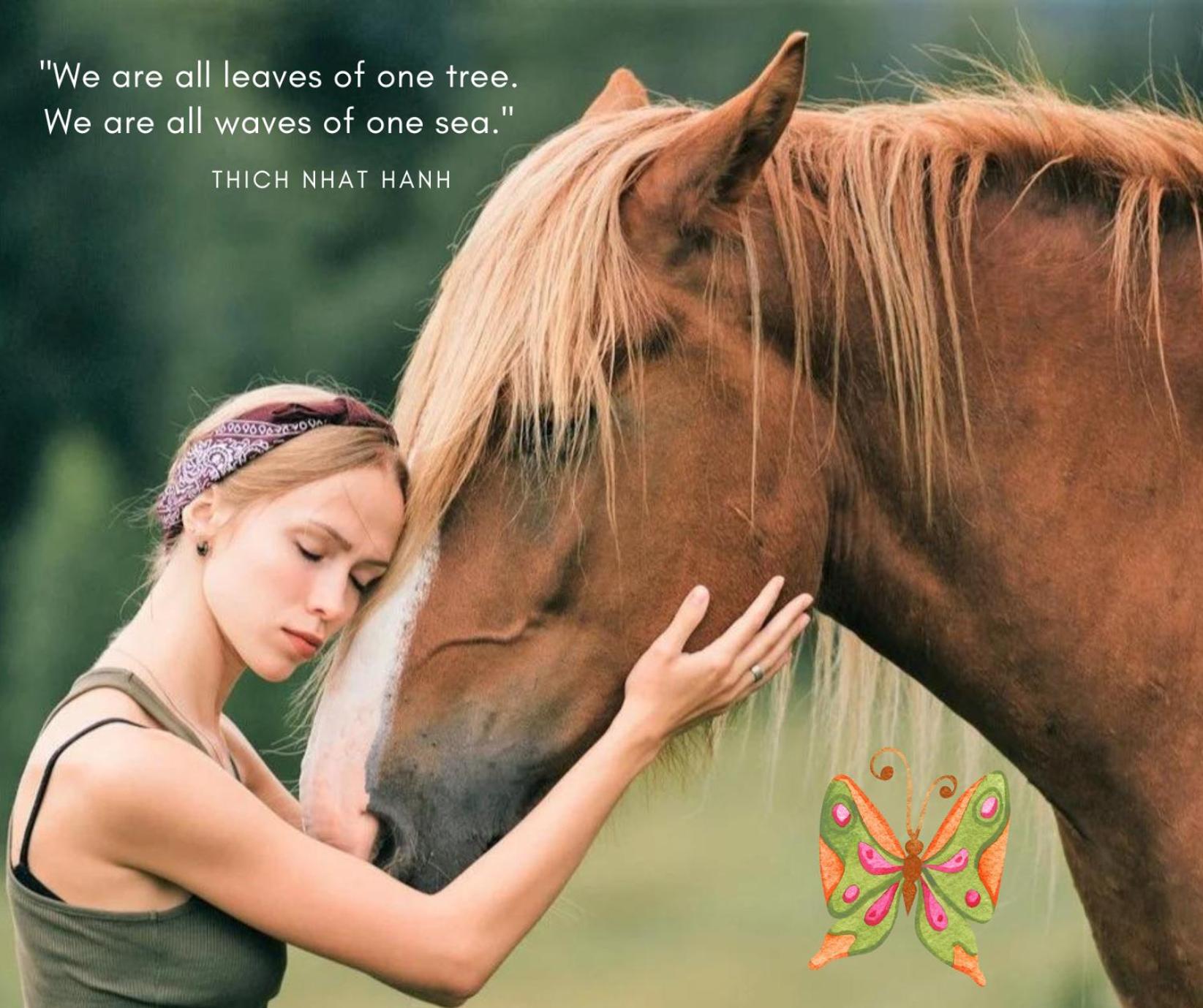 Ontwaken tussen de paarden