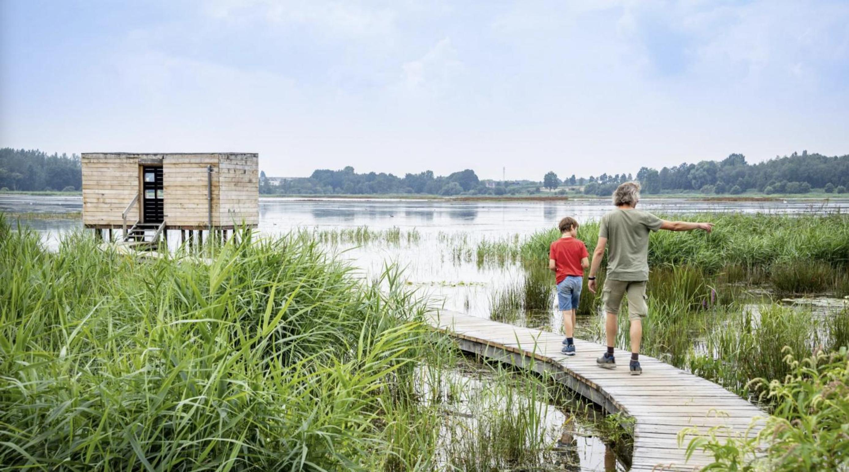 Ontwaken tussen de paarden