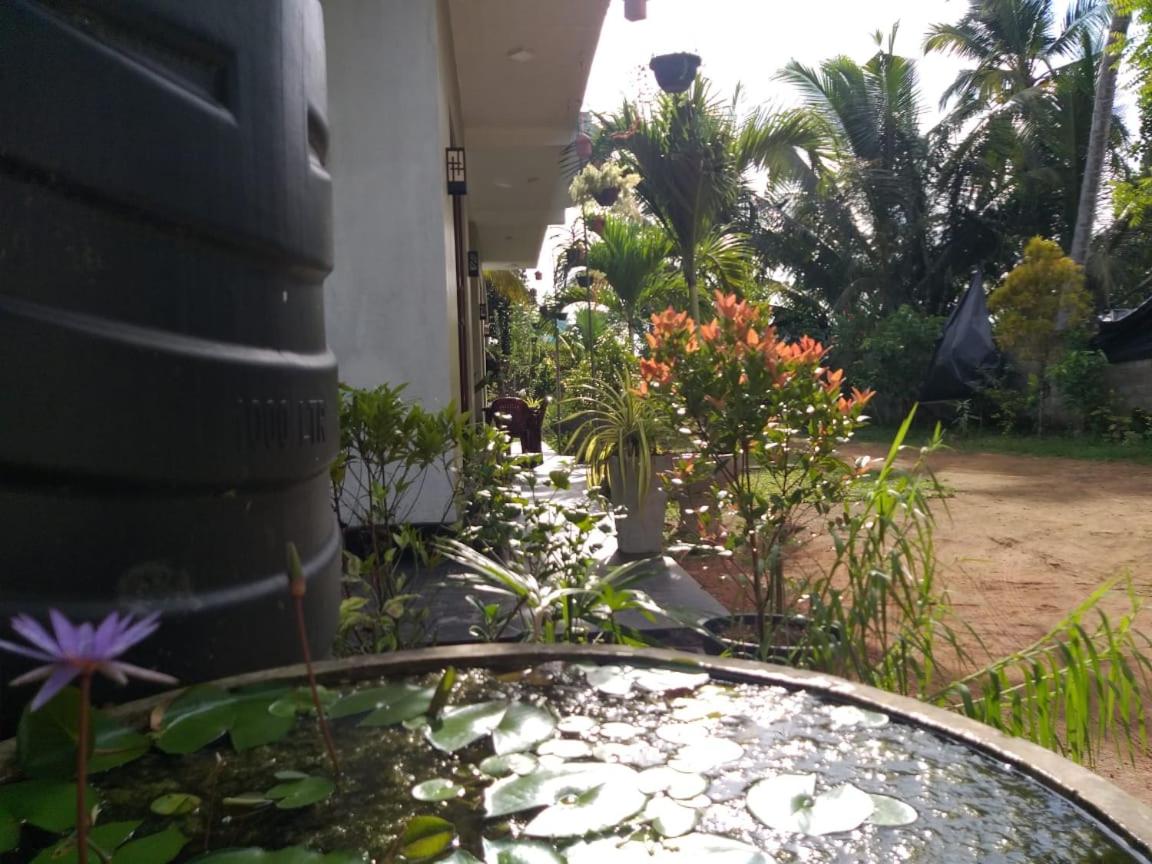 Photo 42