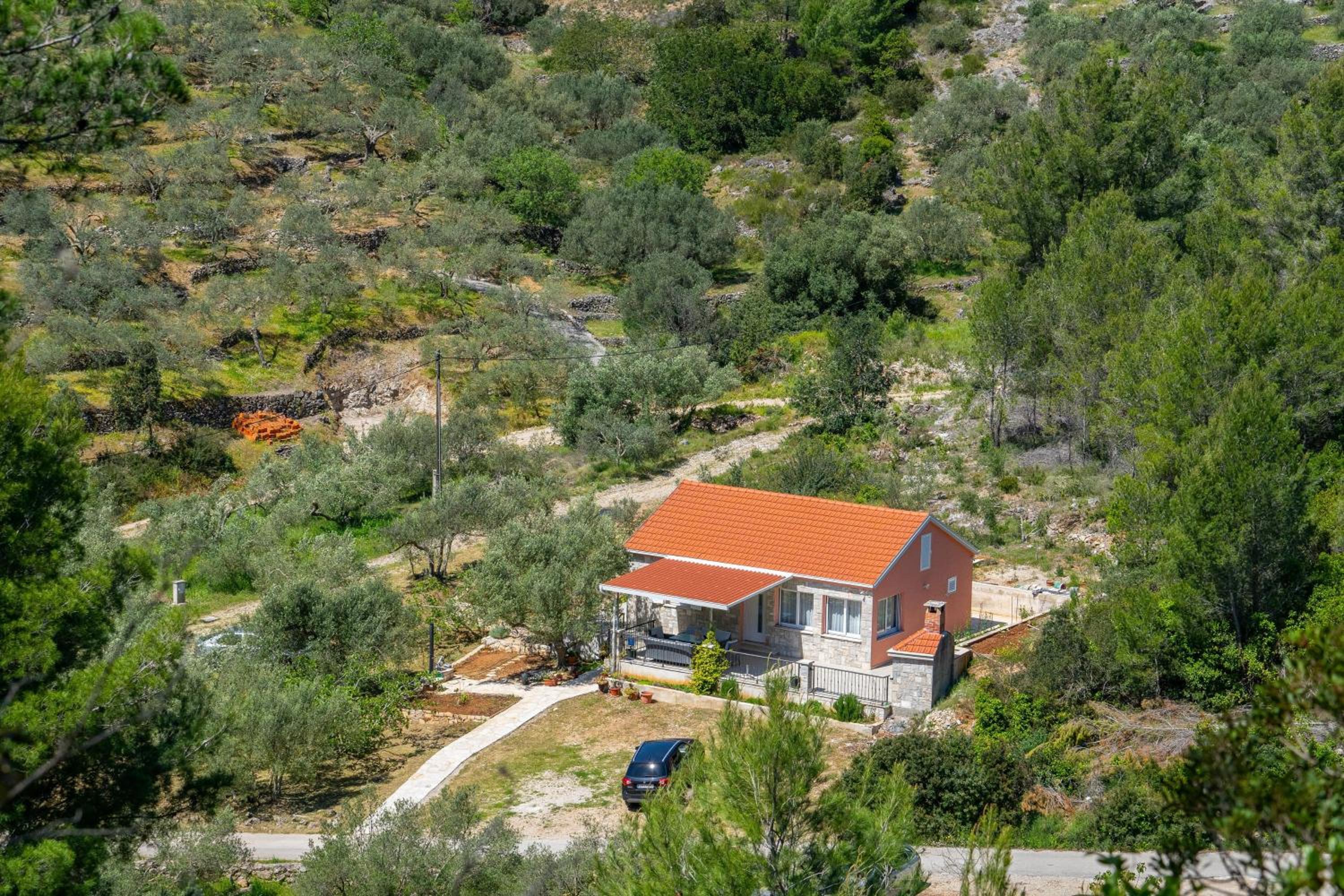 Vila Maslina Grscica view 5