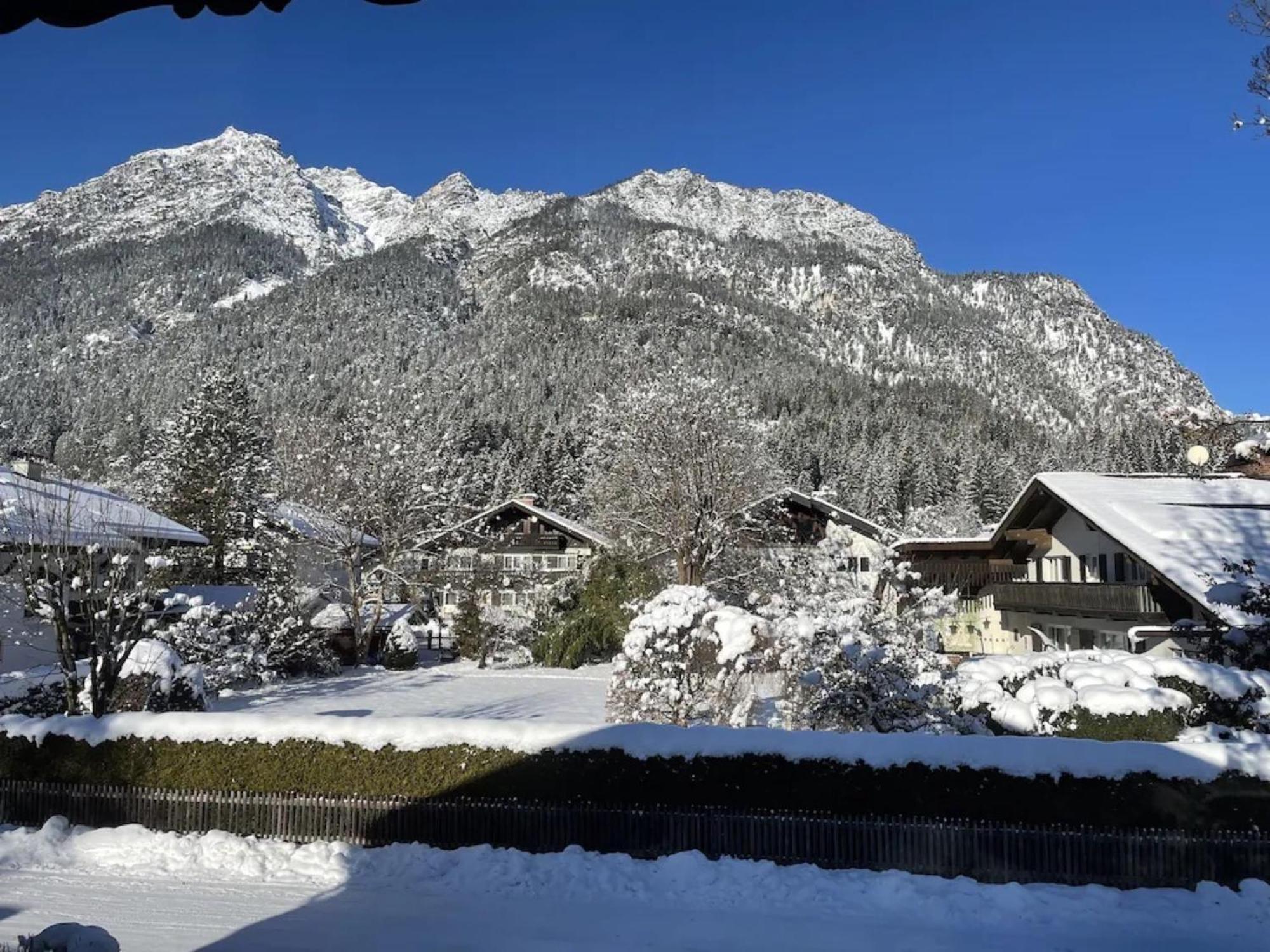 Aurikel