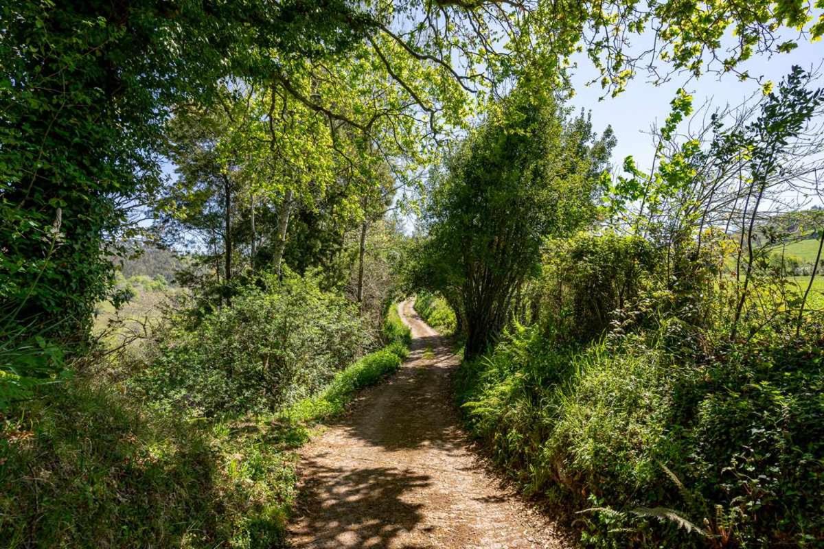 Apartamento Rural Celada 1