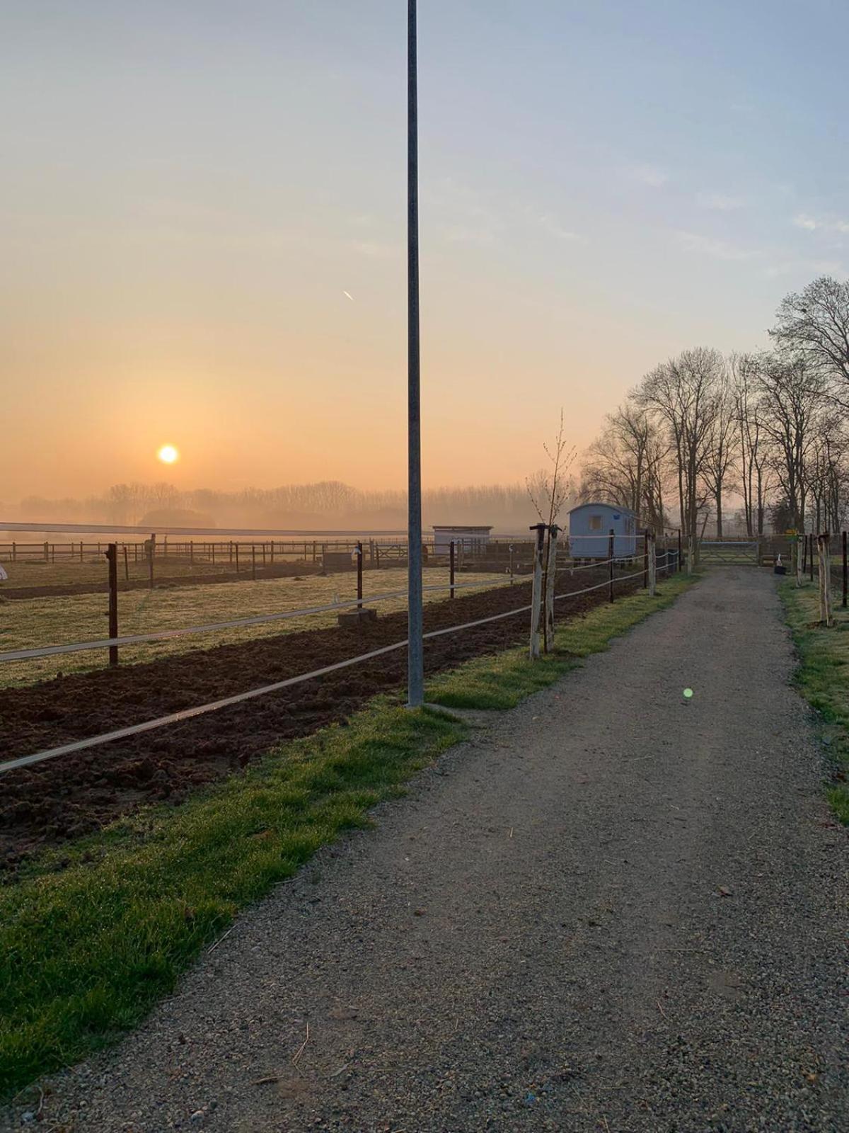 Ontwaken tussen de paarden
