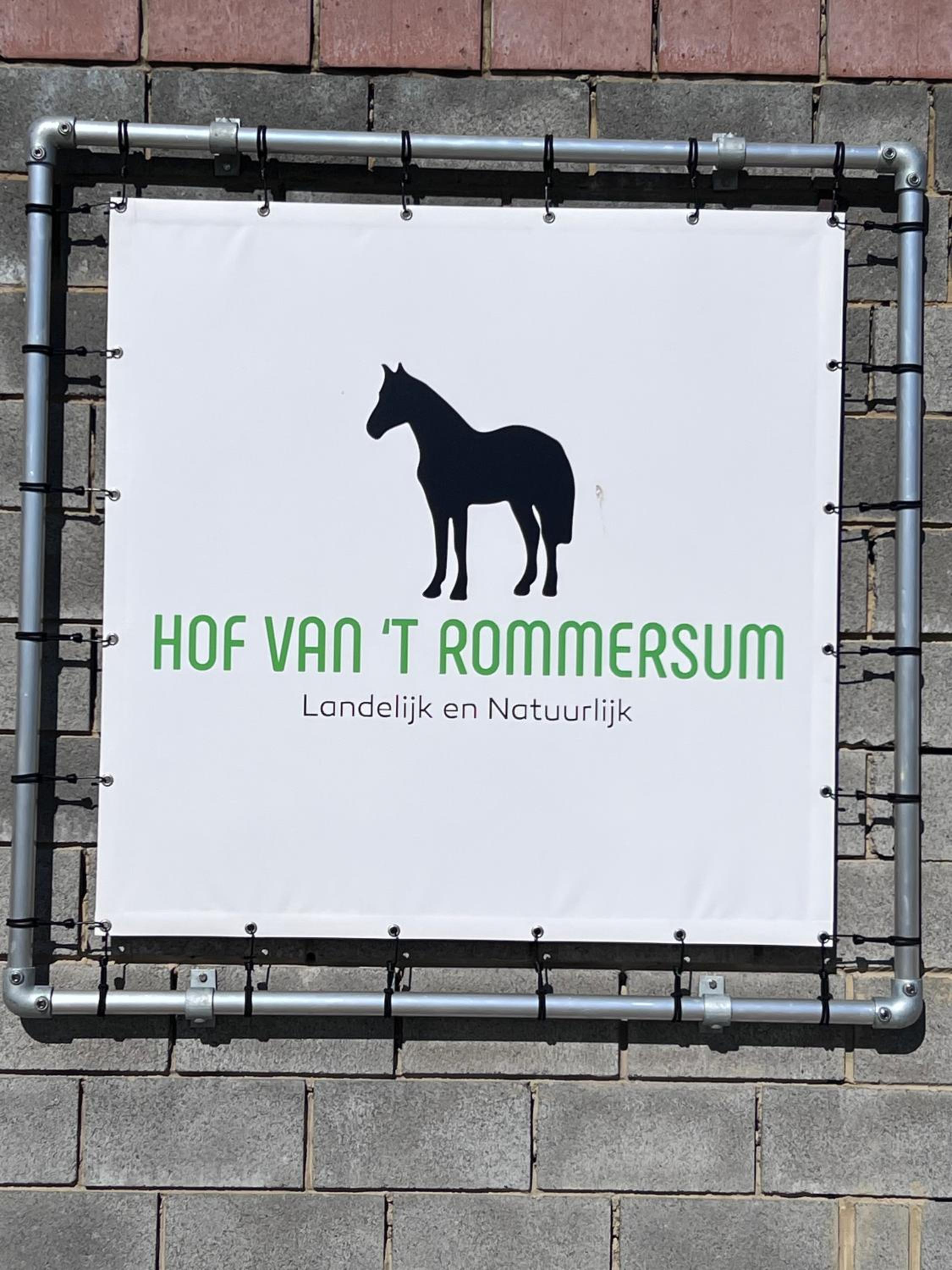 Ontwaken tussen de paarden