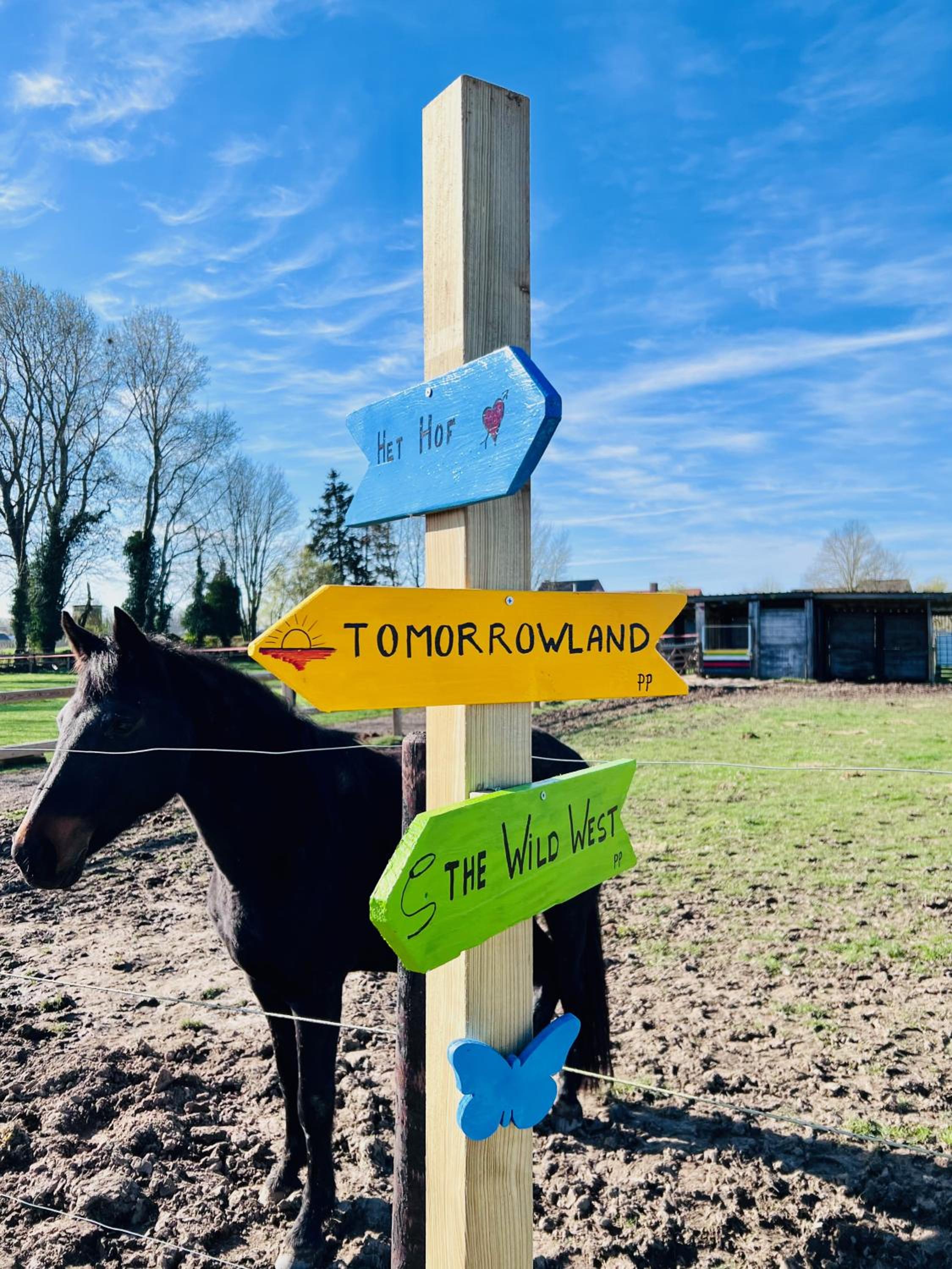 Ontwaken tussen de paarden
