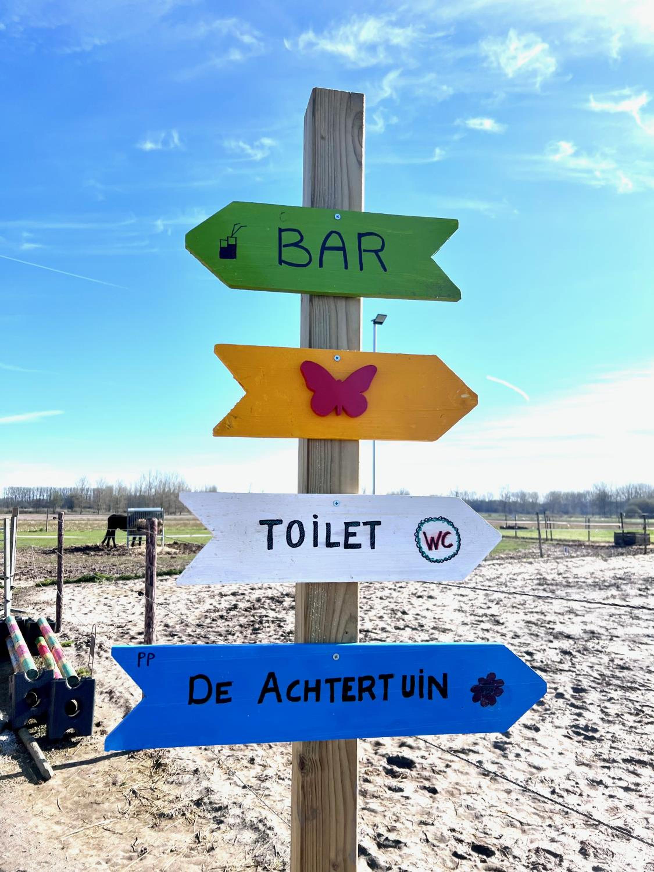 Ontwaken tussen de paarden