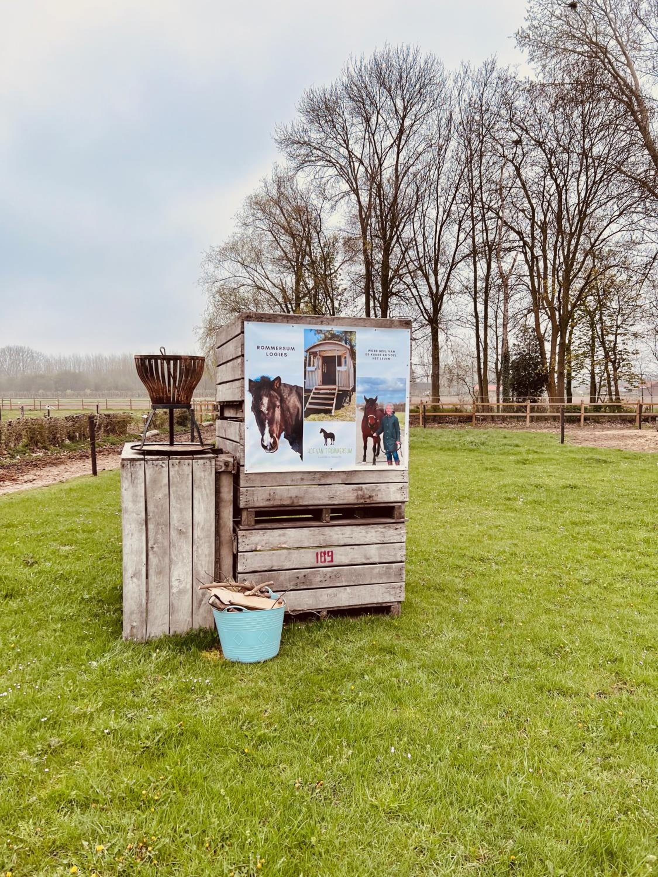 Ontwaken tussen de paarden