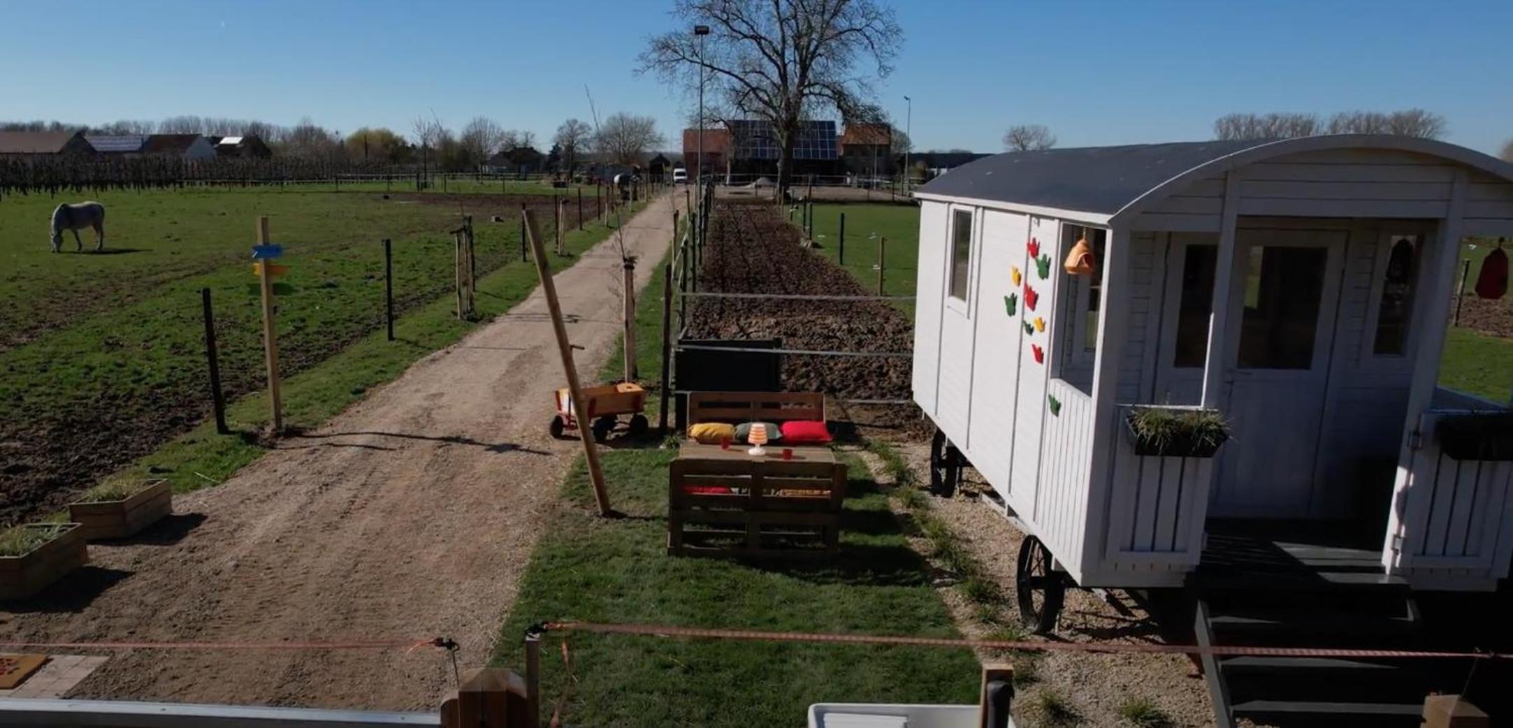 Ontwaken tussen de paarden