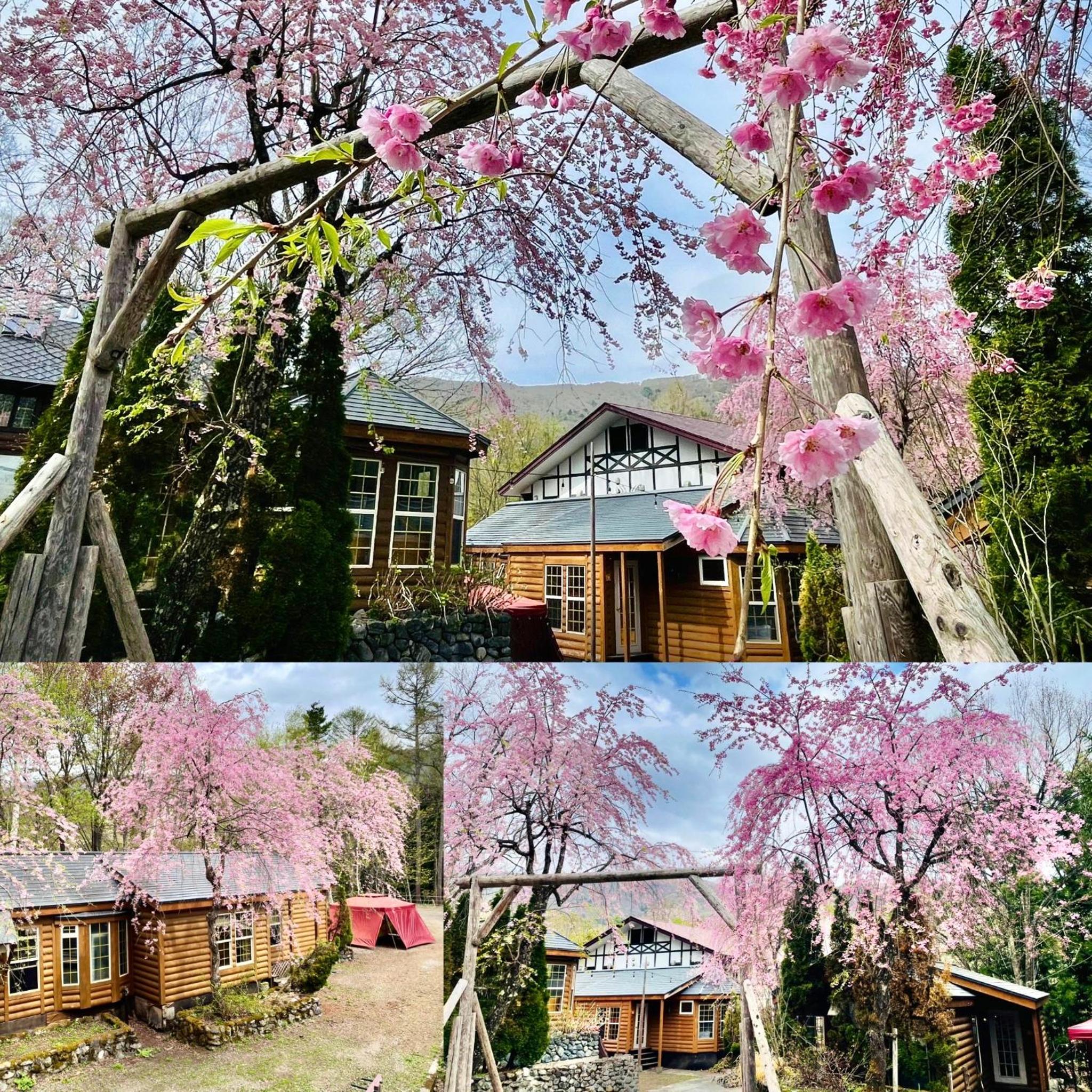 Hakuba Canadian Lodge