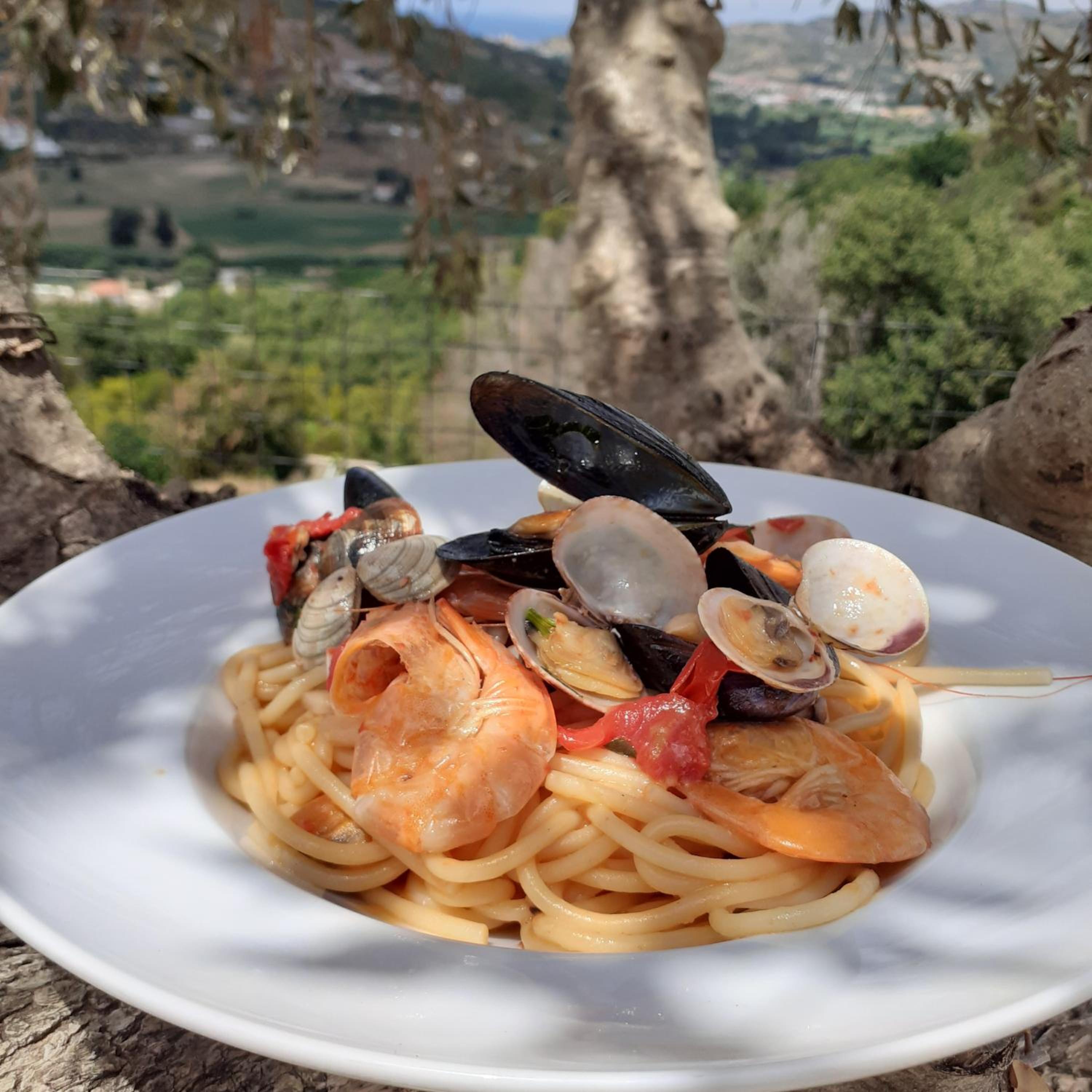 Dimora dei Cardinali