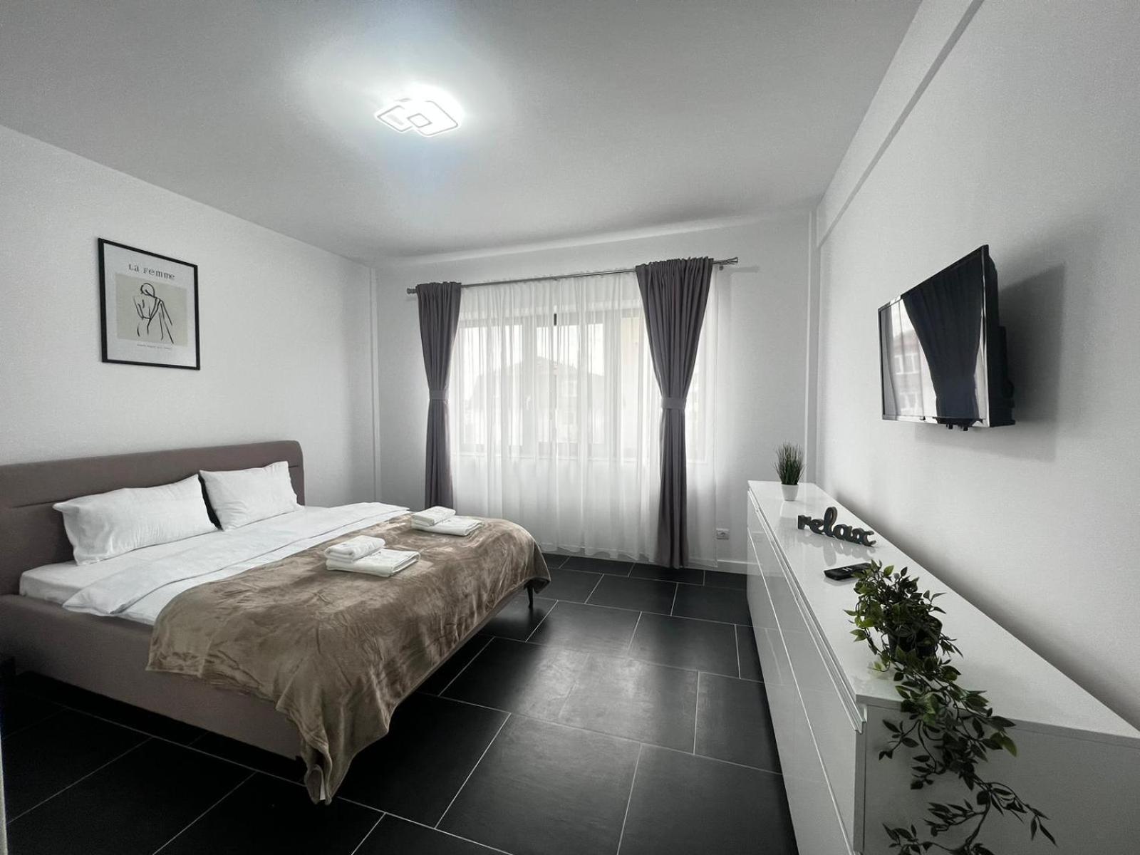 Luxury Cozy Apartments - City Center Suceava view 4