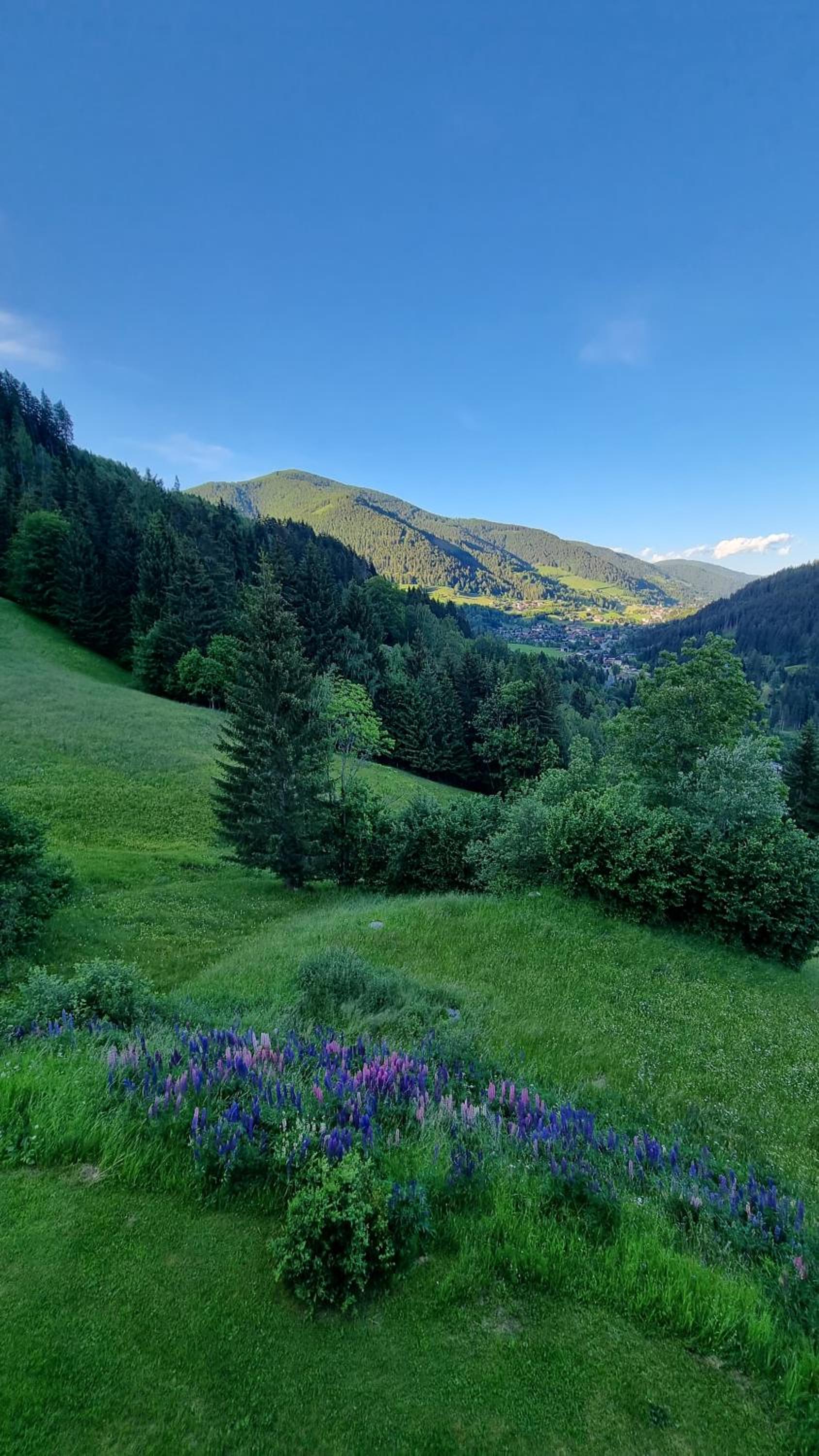 Ferienwohnungen Rabensteiner