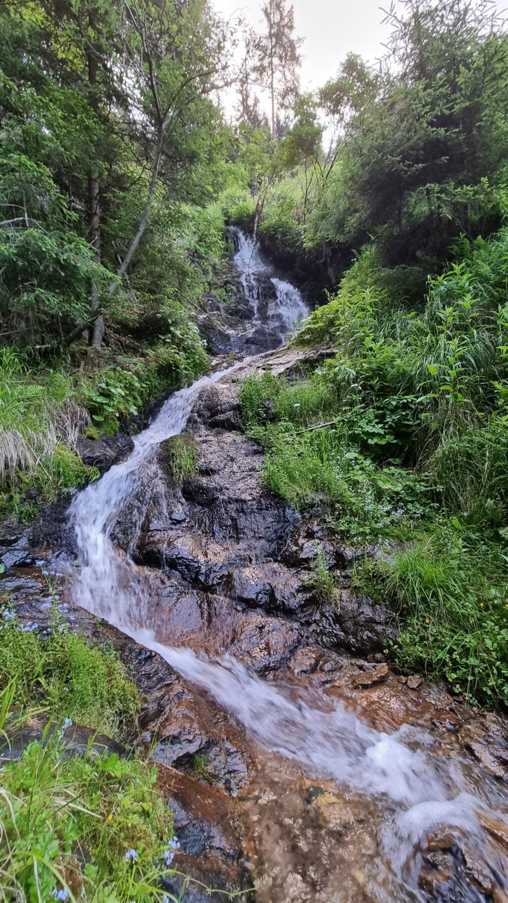 Ferienwohnungen Rabensteiner
