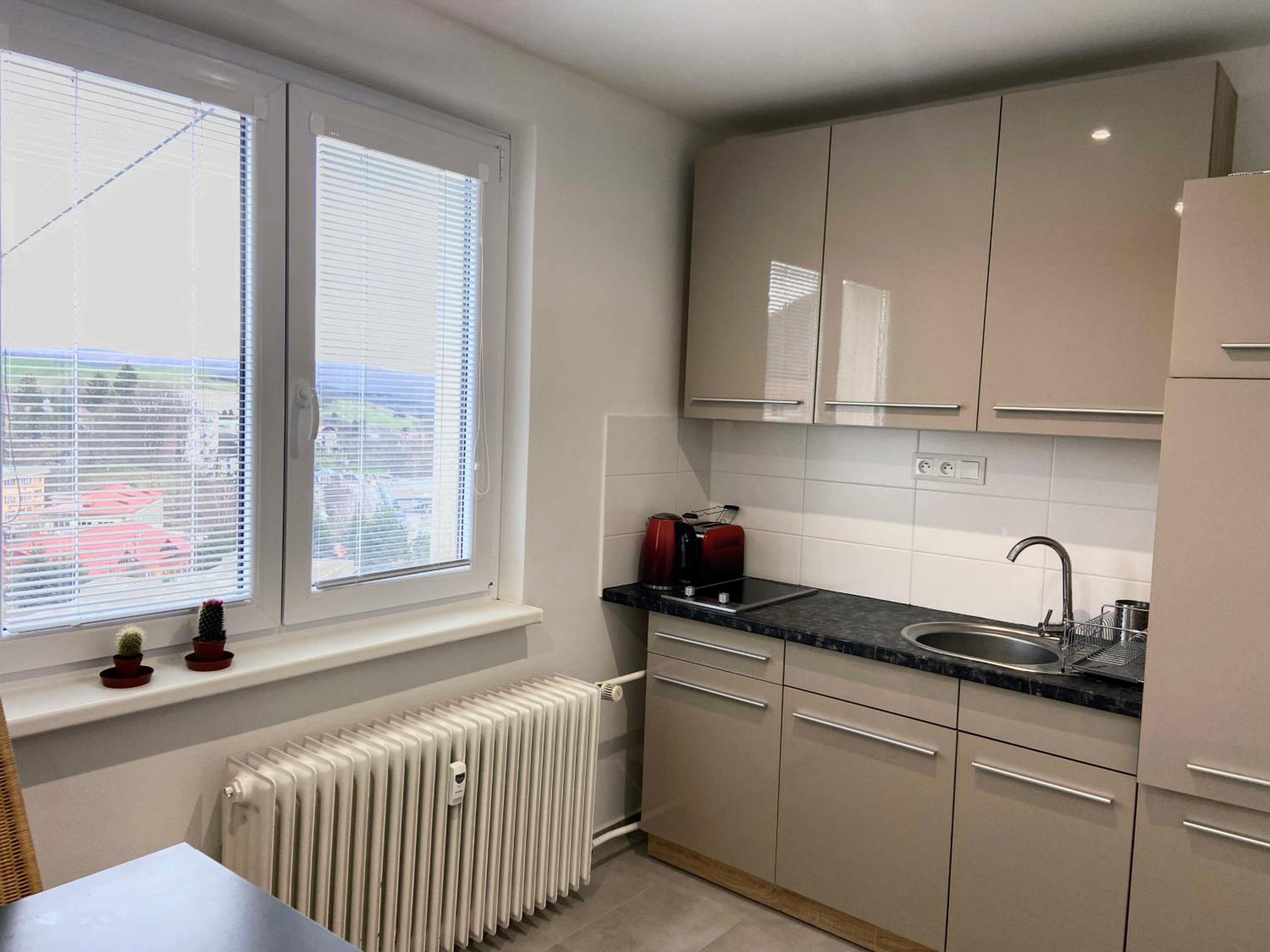 Apartment under Trojický hill