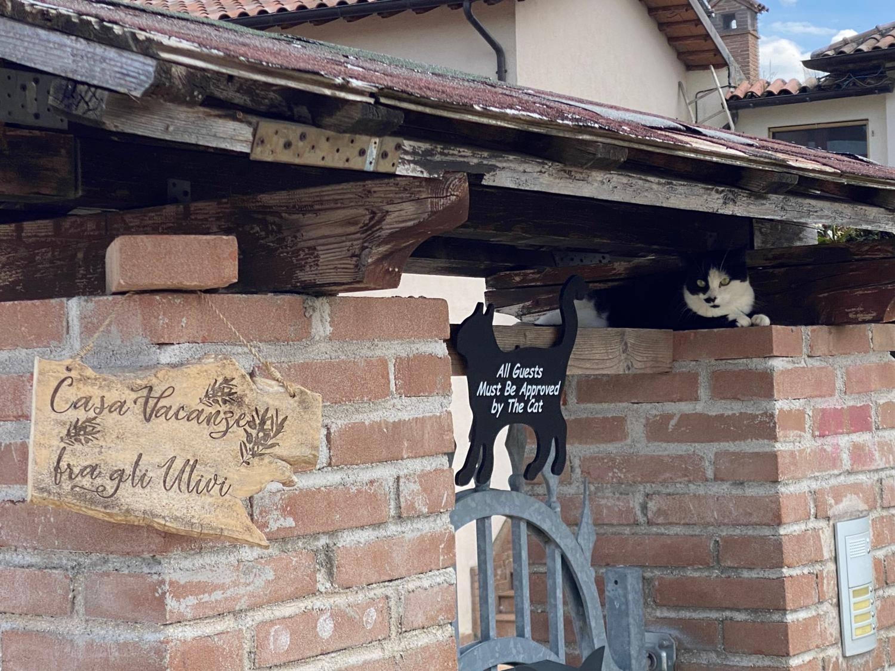 Casa vacanze fra gli ulivi