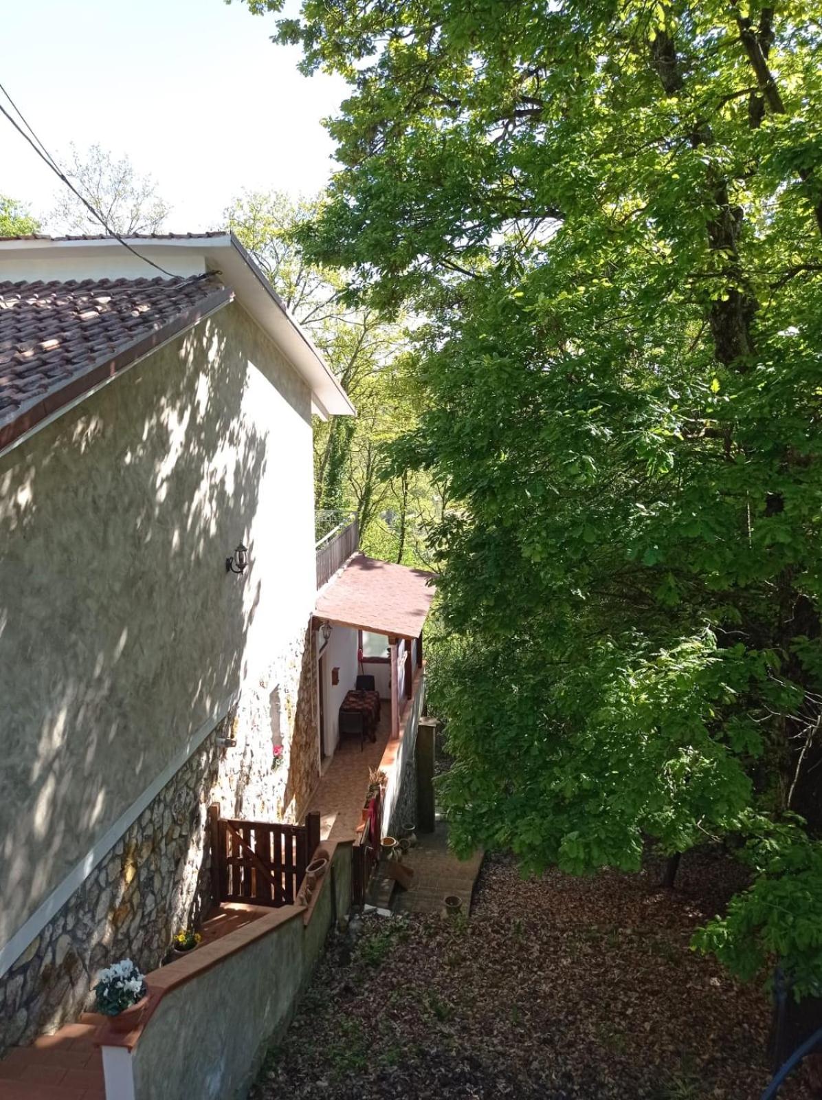 Casa dei Faggi view 5
