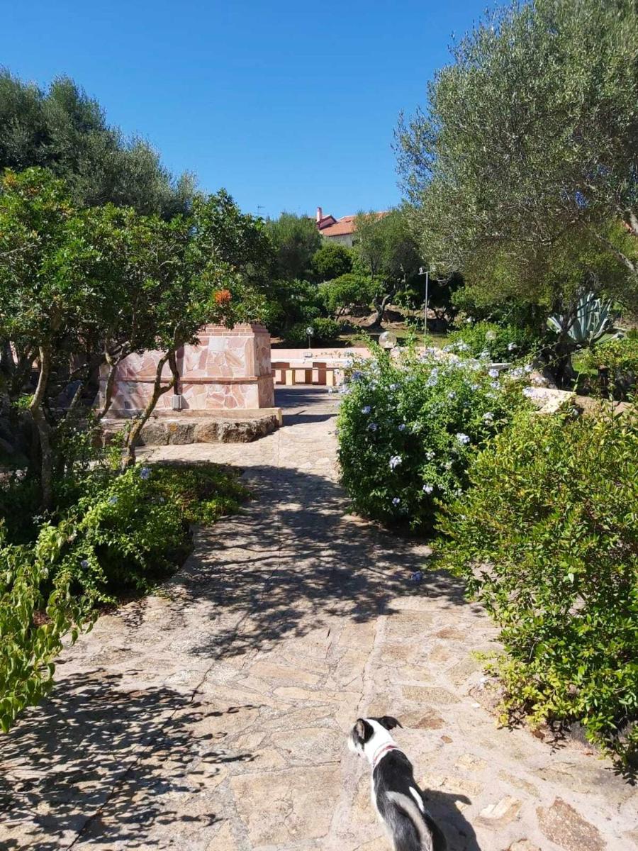 3 bedrooms appartement at Olbia 300 m away from the beach with sea view and enclosed garden