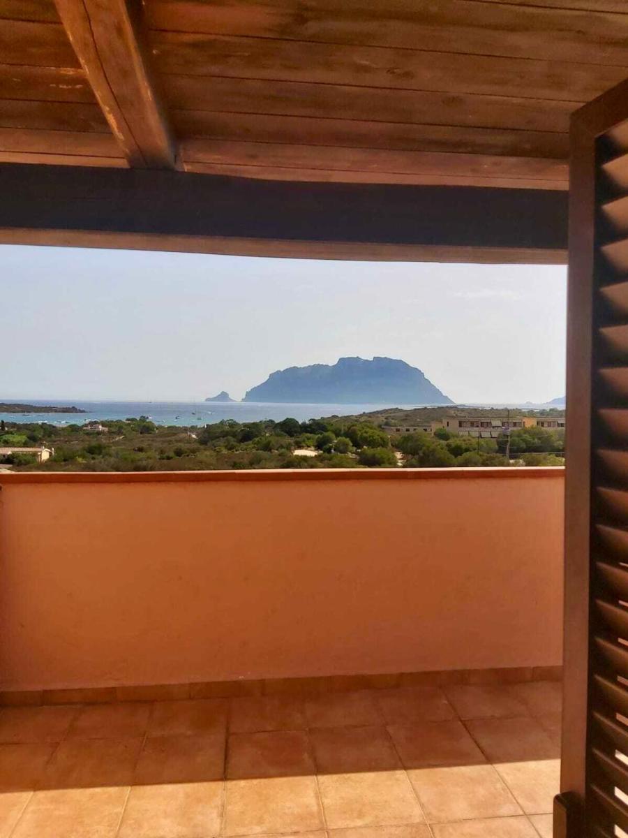 3 bedrooms appartement at Olbia 300 m away from the beach with sea view and enclosed garden