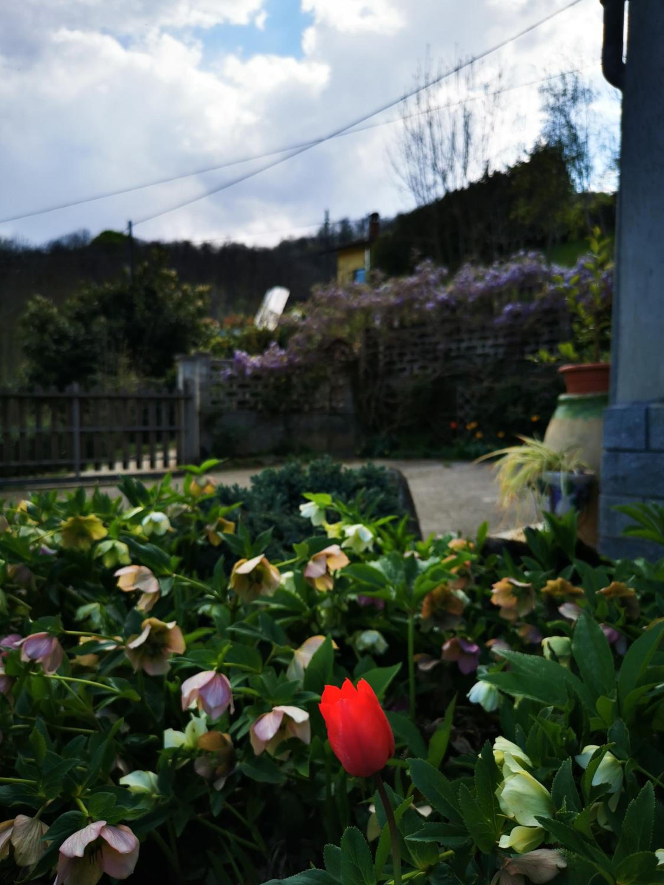 La Quiete nel verde