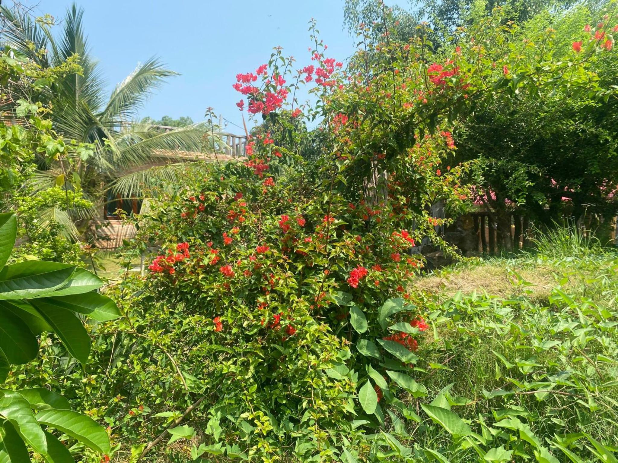 Photo 25