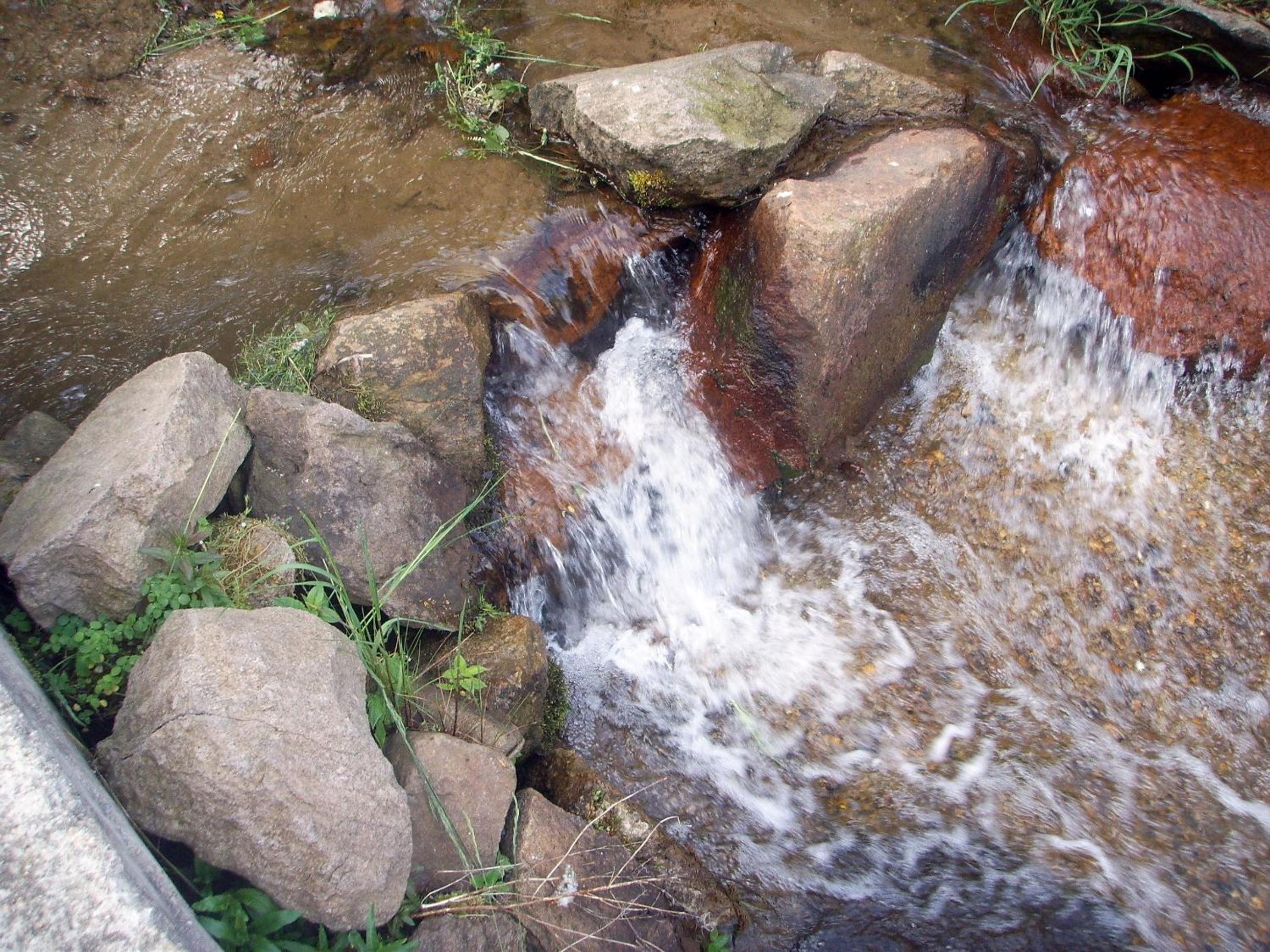 Photo 26