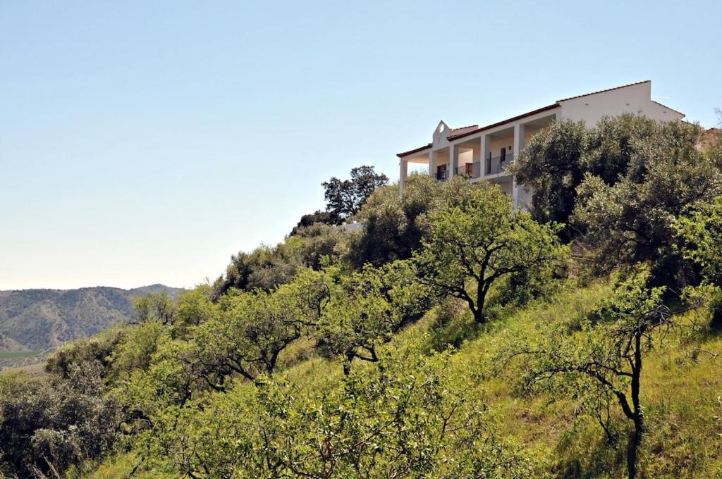 Piltraque - our lovely country villa to rent in Andalucia, Spain view 4