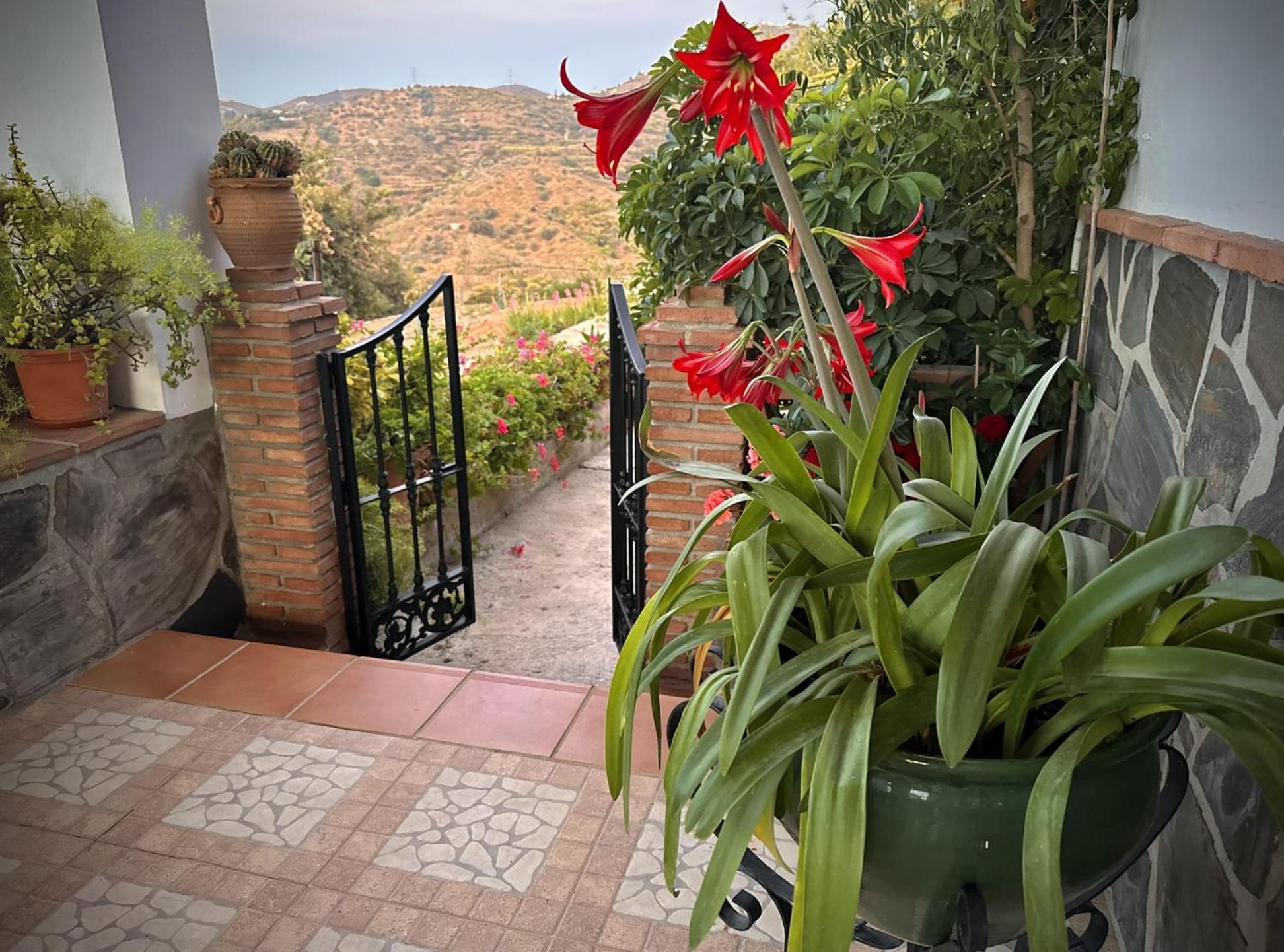 Casa Muñoz Acosta