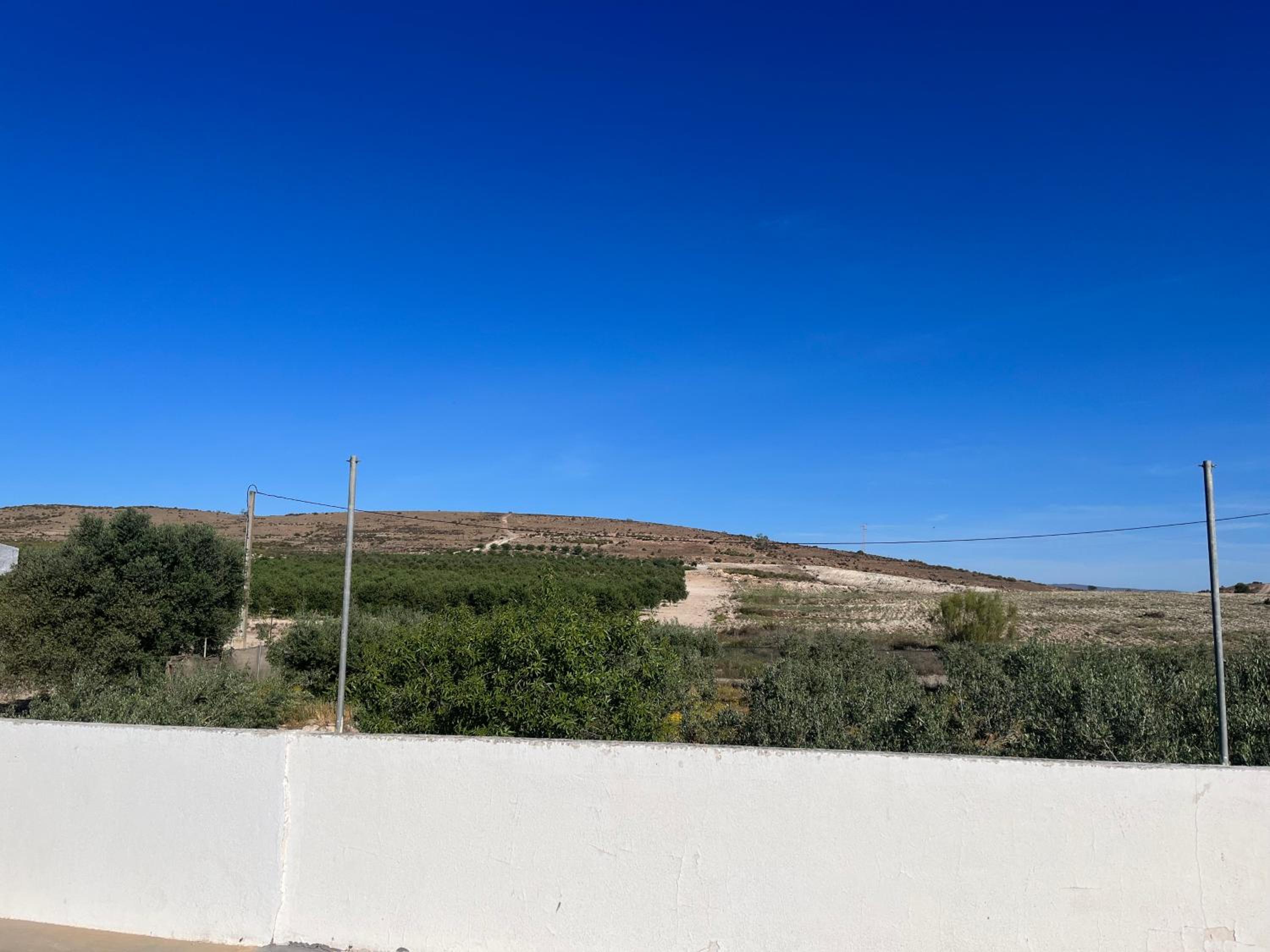 CORTIJO DEL LUCERO, FERNAN PEREZ