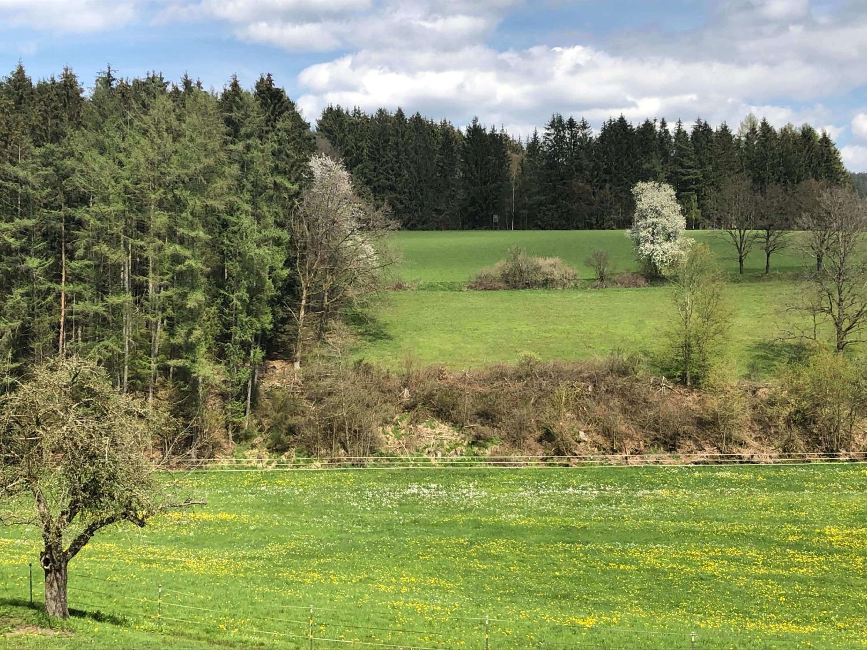 Ferienwohnung am Rohrbacherhof Sabine Rück