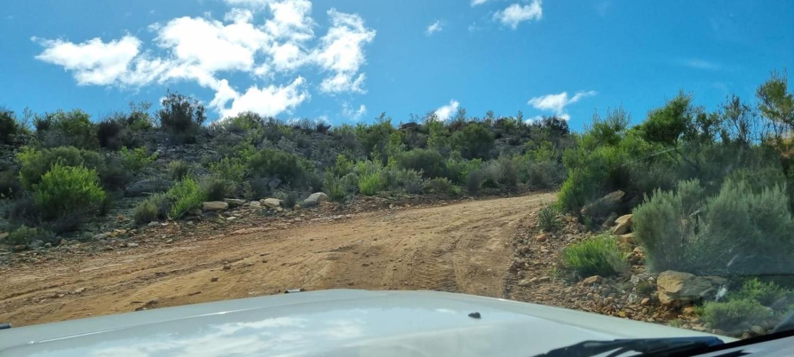 Phumelela Private Game Farm view 5
