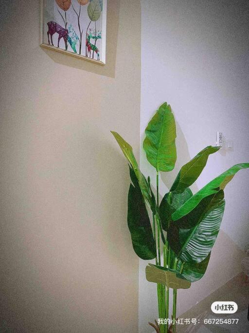 Nordic Home Falim 31 Astro photo 4