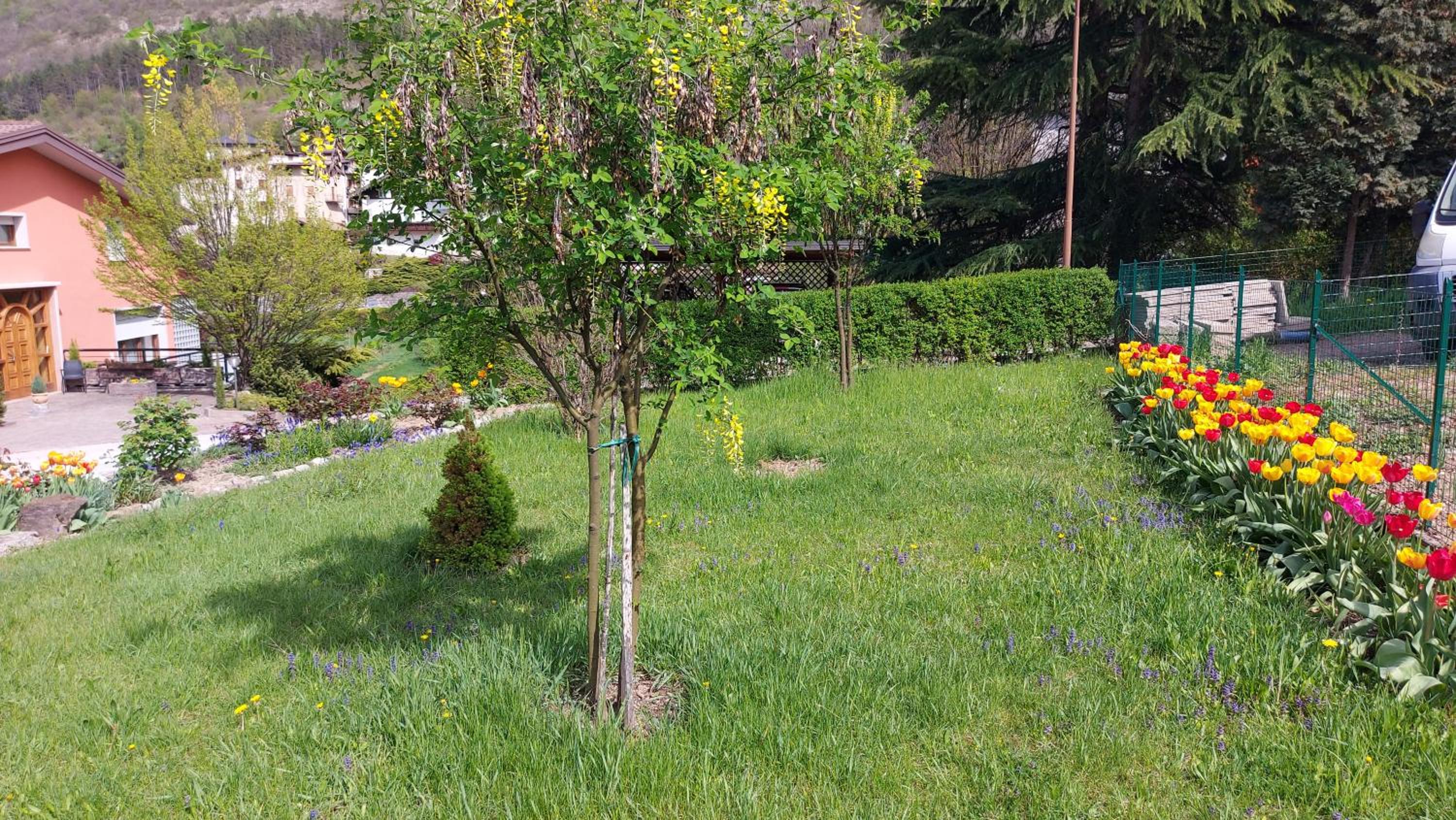 Photo 24