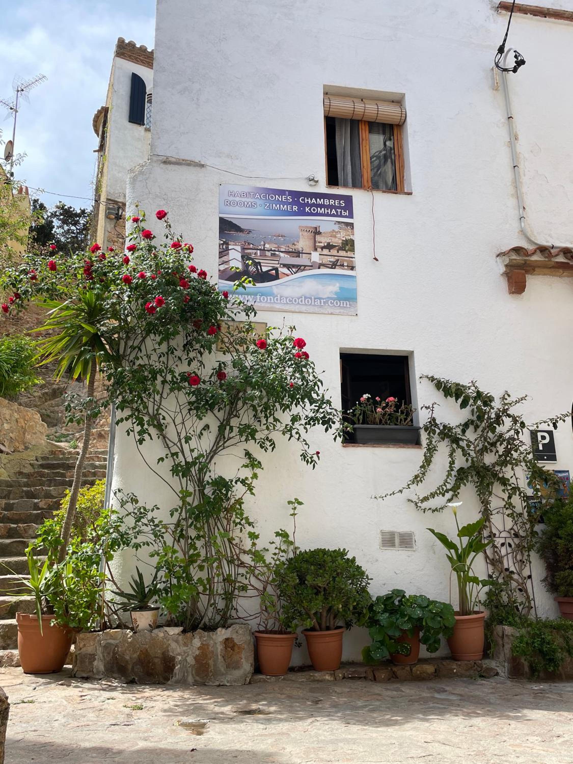 P&R hostals Codolar view 3