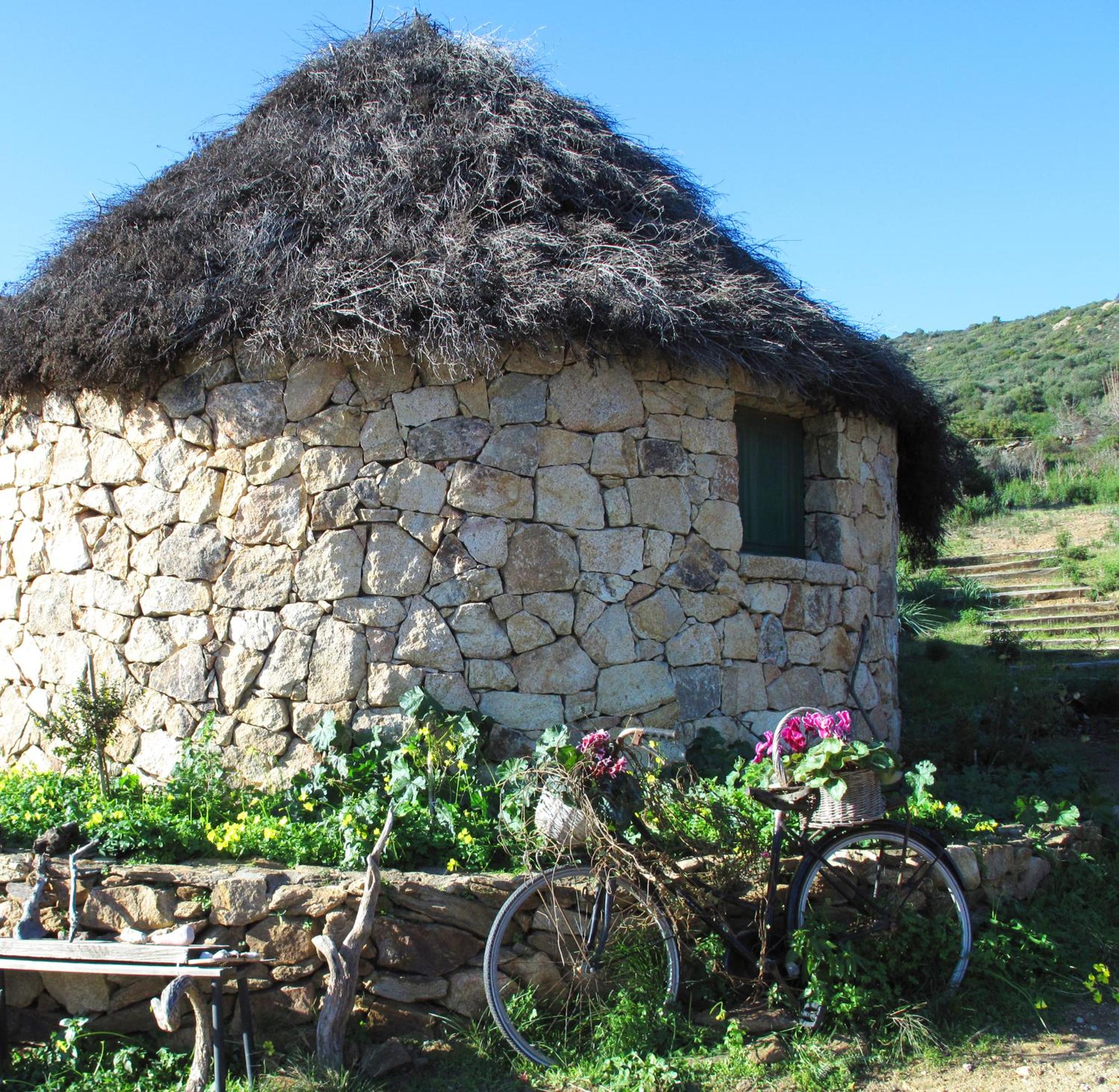 Essenza Sardegna