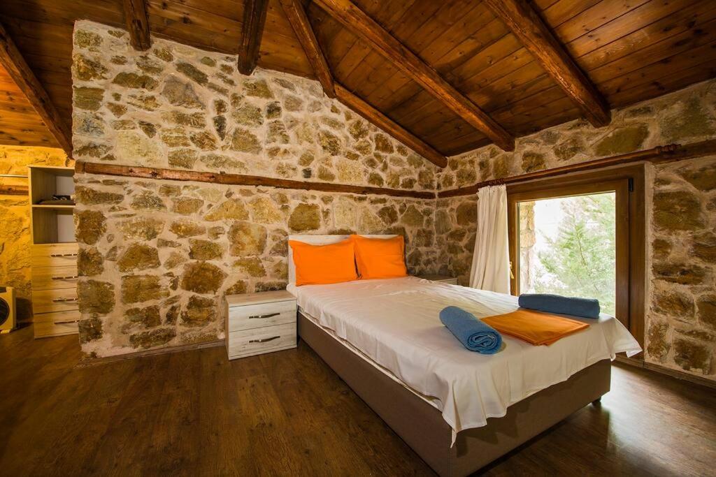 Petrini Spiti