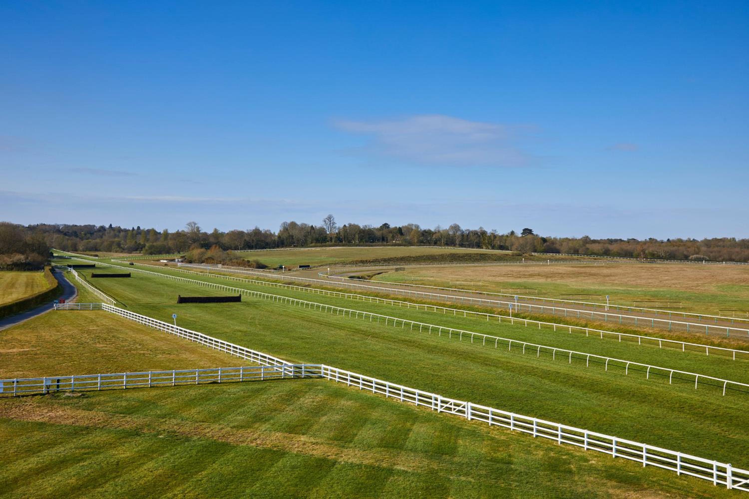 Hotel Lingfield Park Marriott Hotel & Country Club