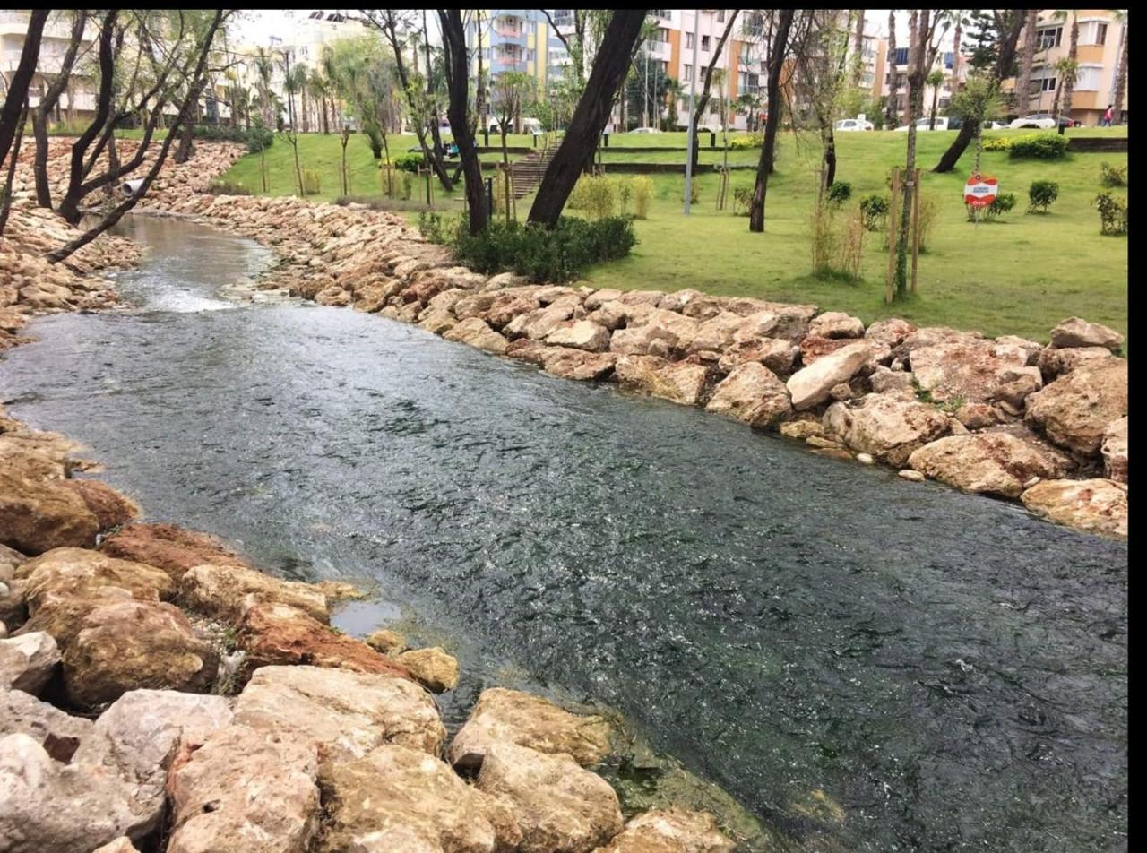 Far Life Hotel - Image 72