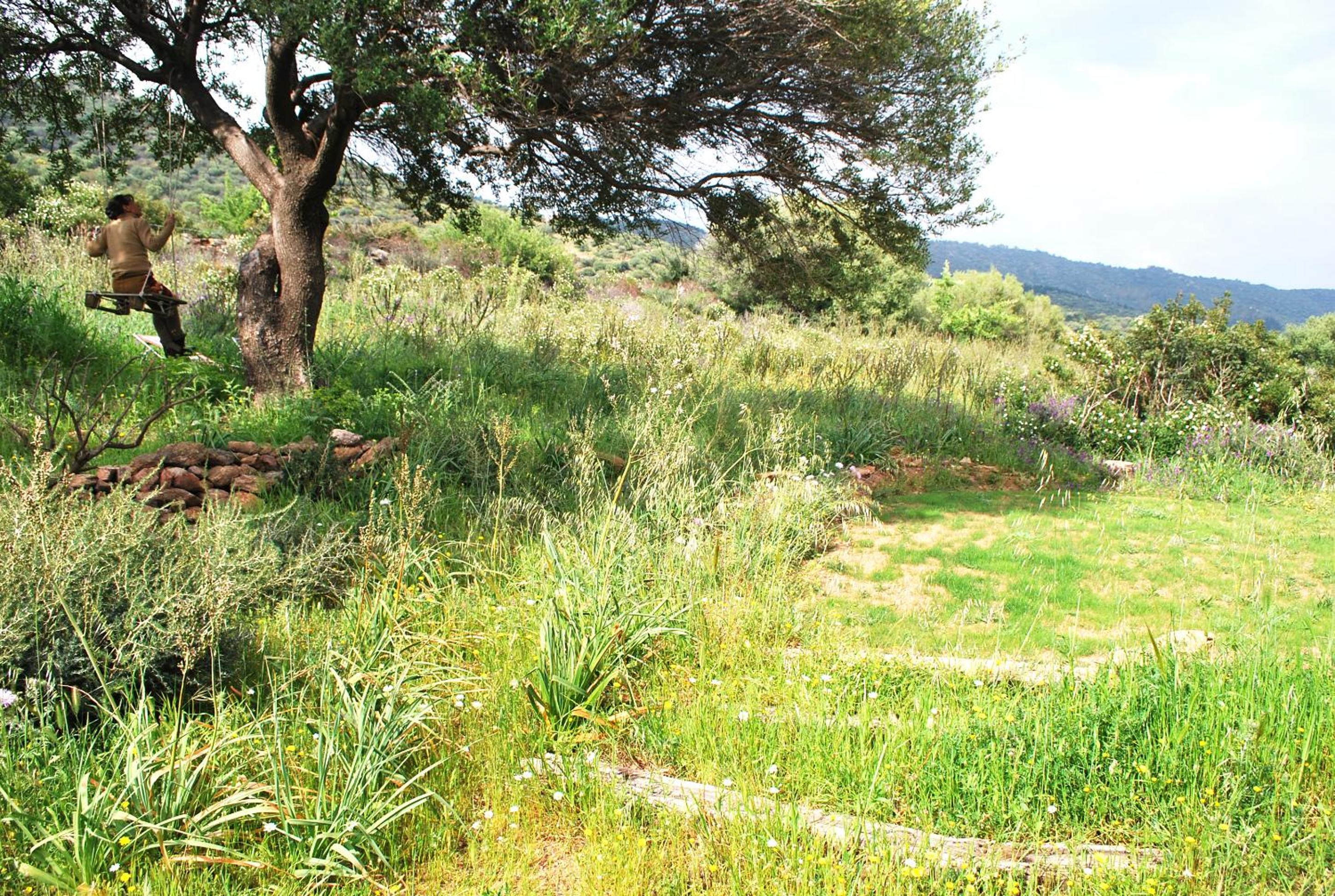 Essenza Sardegna