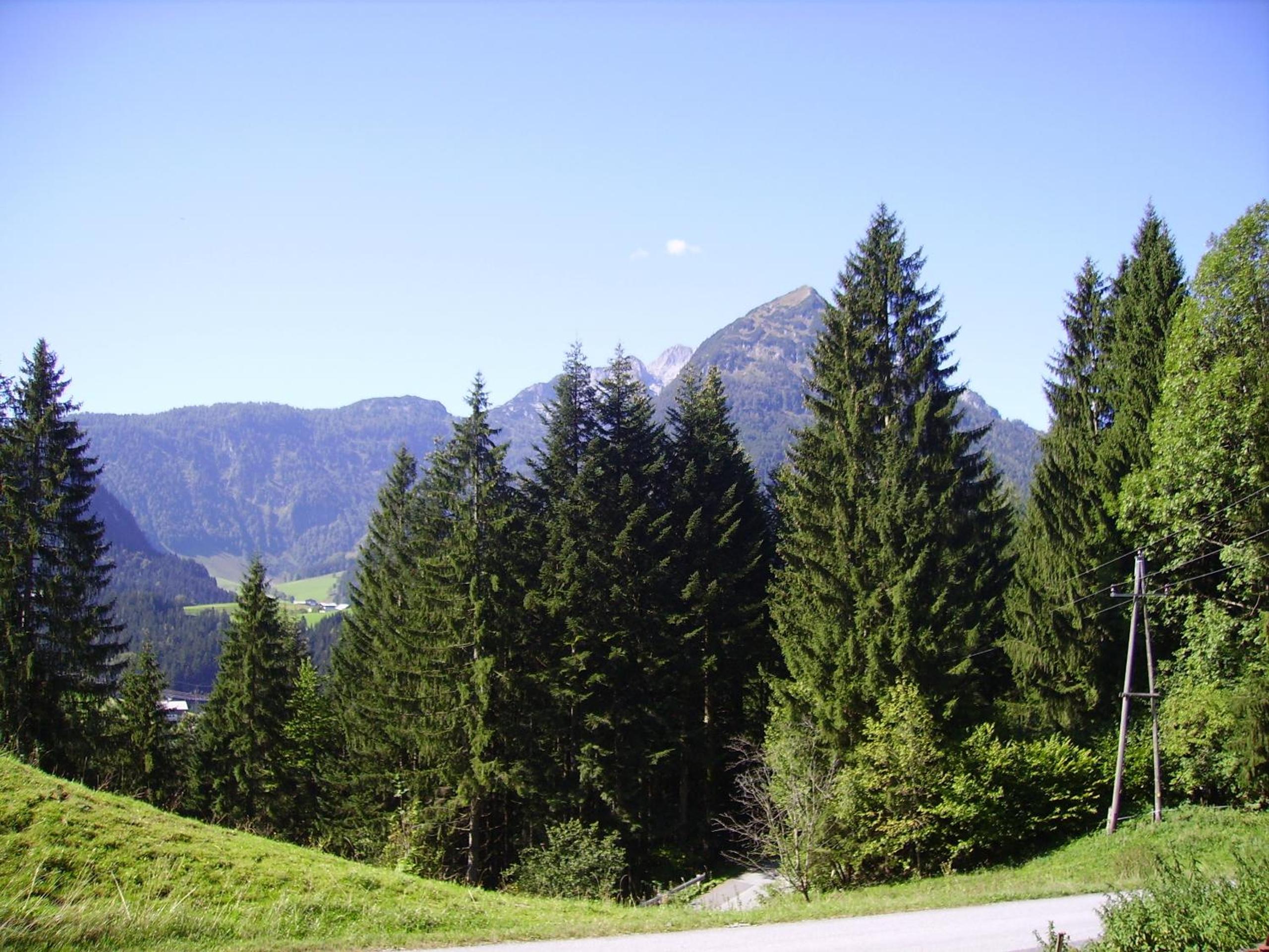 Haus Unterdieterer