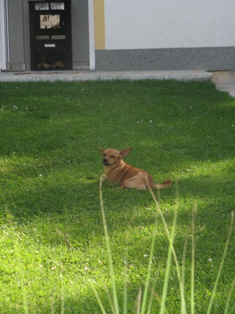 Photo 15
