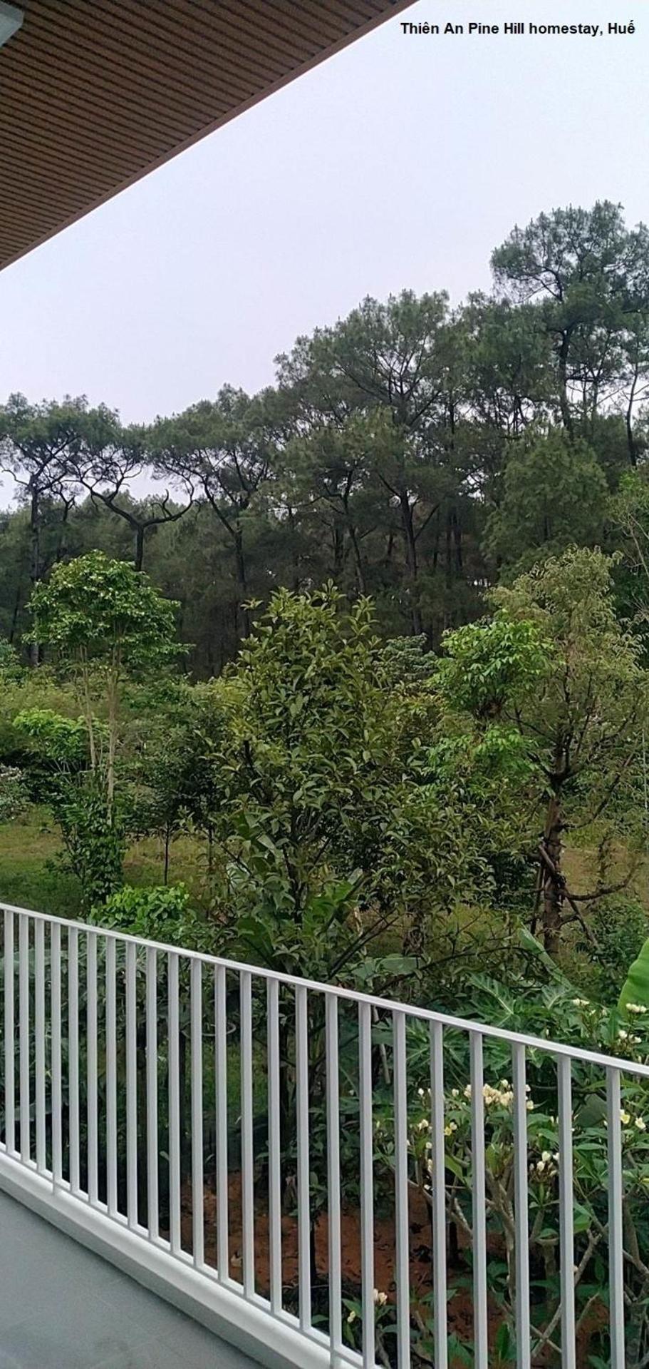 Thien An Pine Hill Homestay Hue view 5
