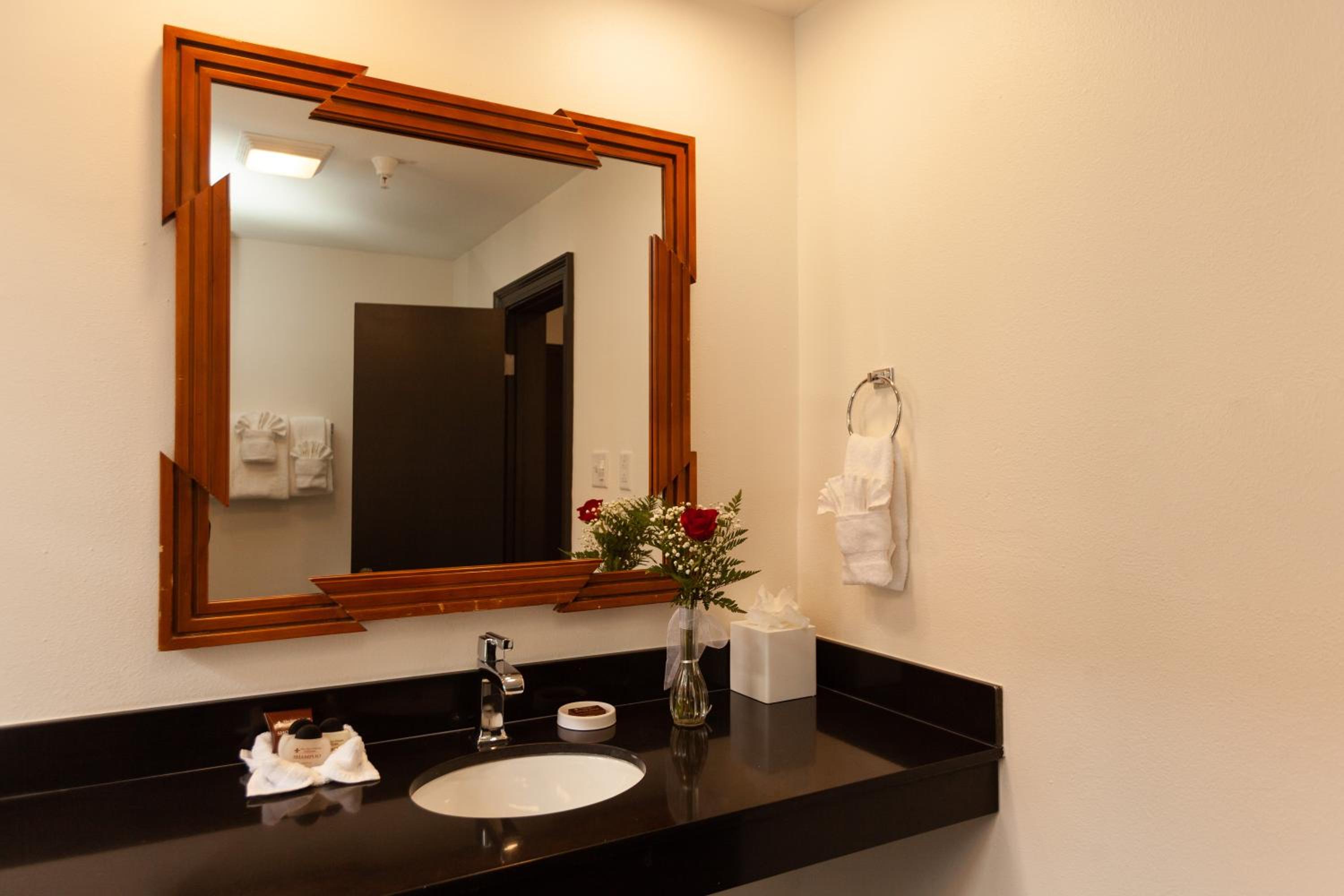 New Orleans Vacations - Le Richelieu Hotel in the French Quarter - Property Image 2