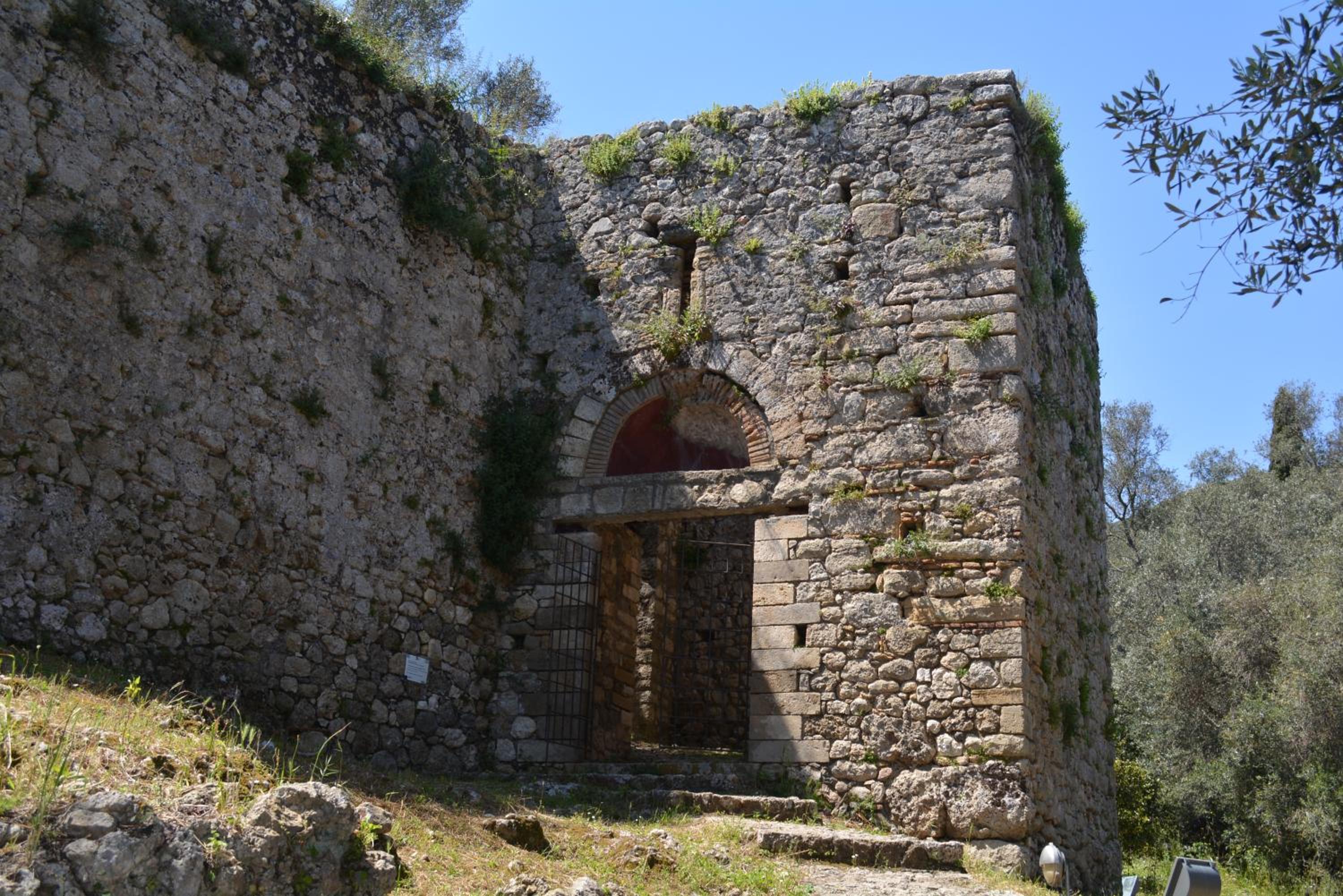 Photo 24