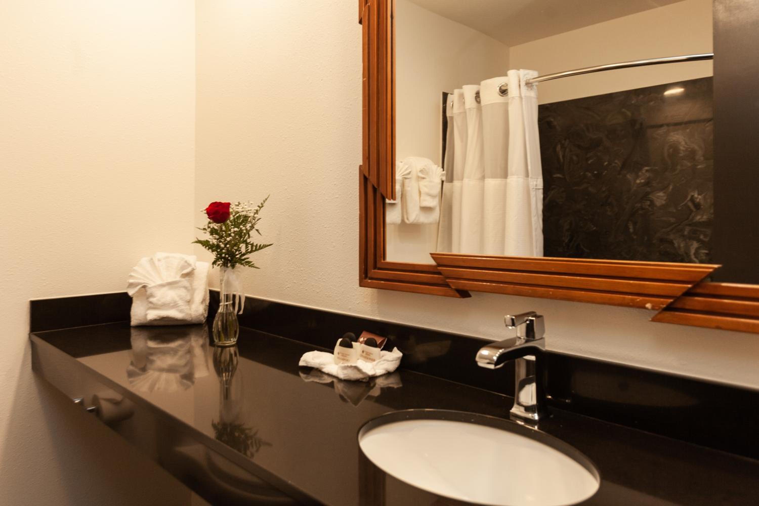 New Orleans Vacations - Le Richelieu Hotel in the French Quarter - Property Image 9