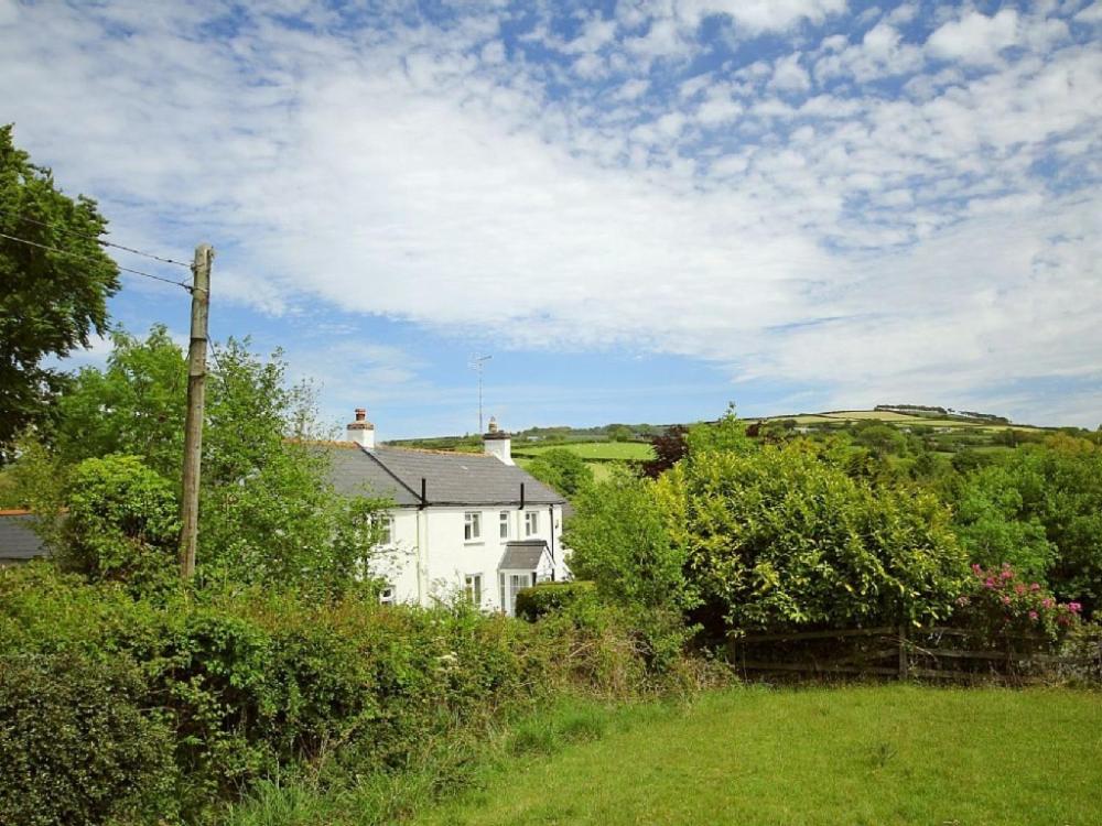 Photo 41