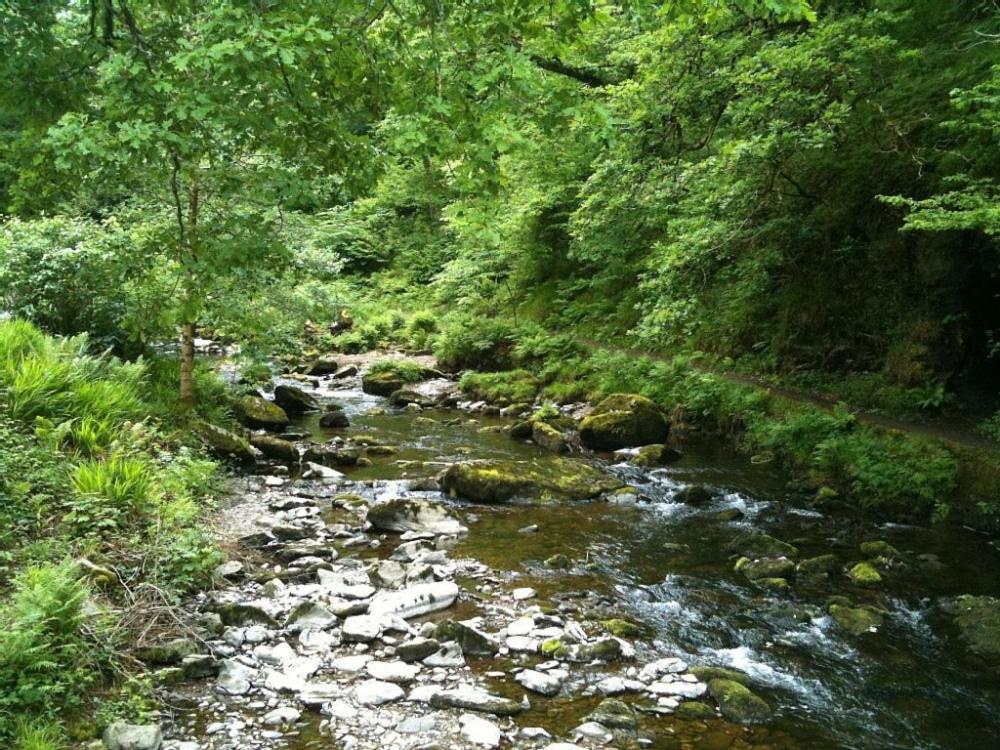 Photo 45
