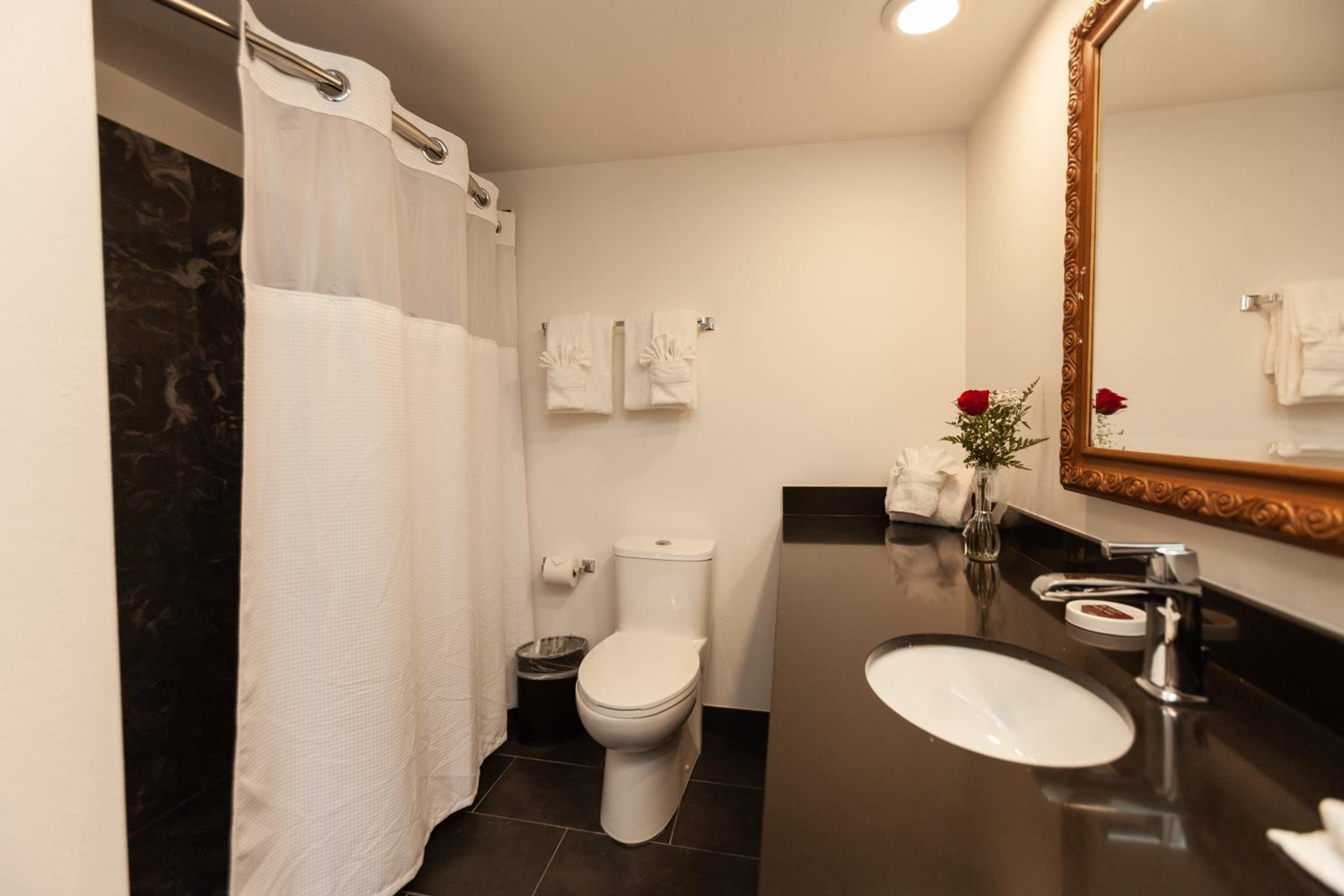 New Orleans Vacations - Le Richelieu Hotel in the French Quarter - Property Image 38