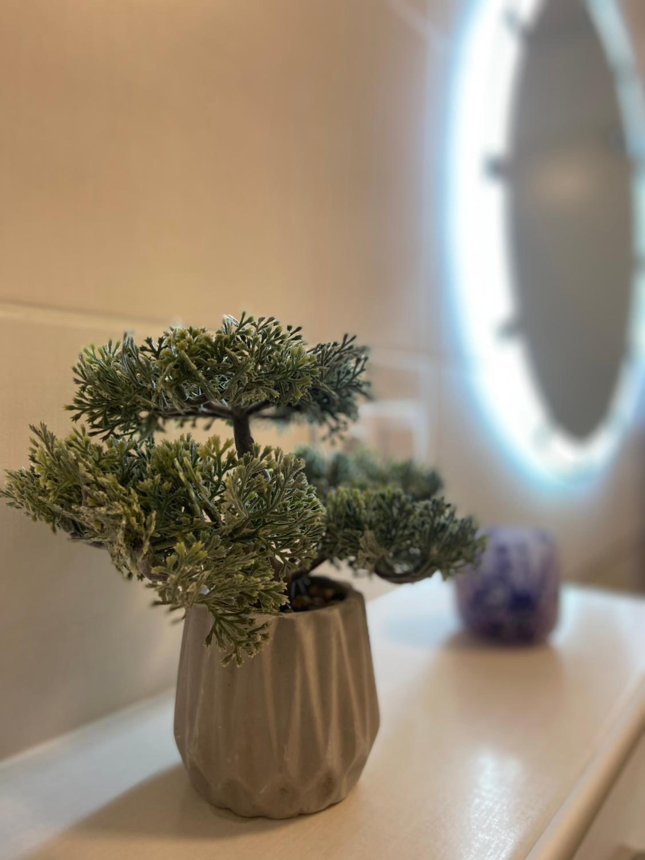 FOCUS APARTAMENT