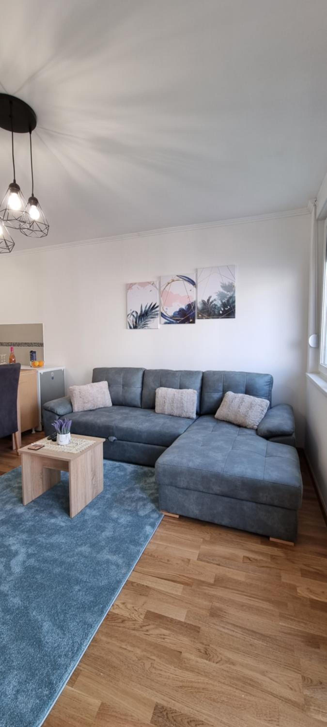Apartman Visnja